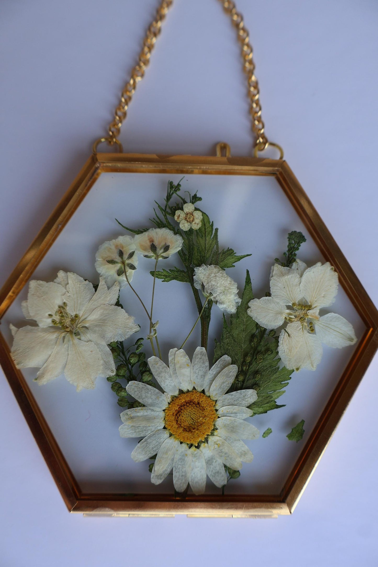 Pressed Flower Frame: Botanical Glass Wall Art, Wildflower Decor