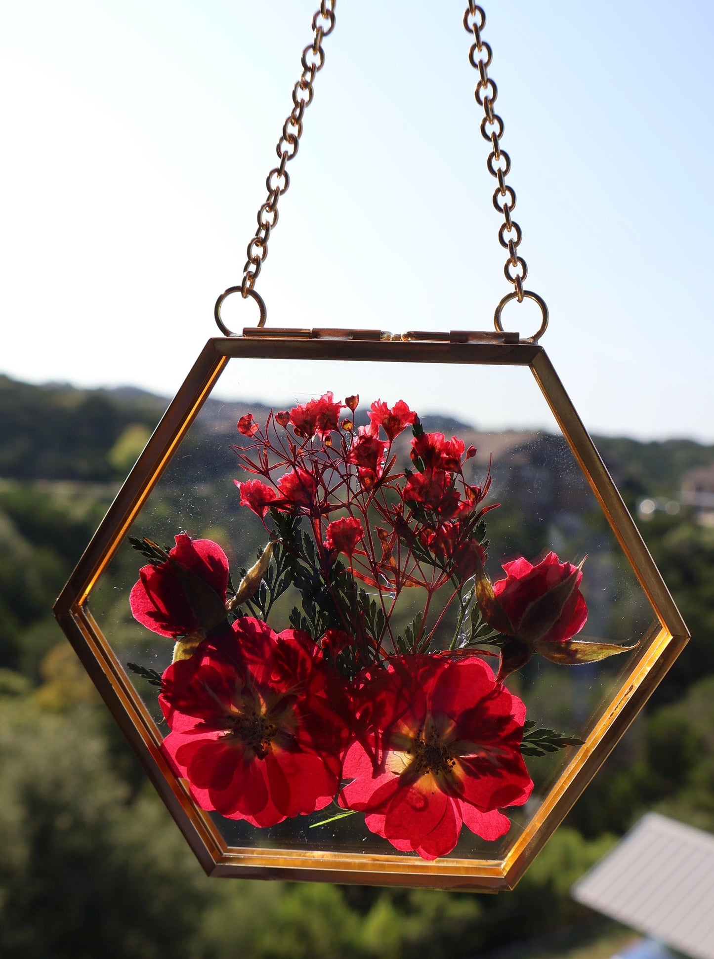 Pressed Flower Frame: Botanical Glass Wall Art, Wildflower Decor, Floral Gifts