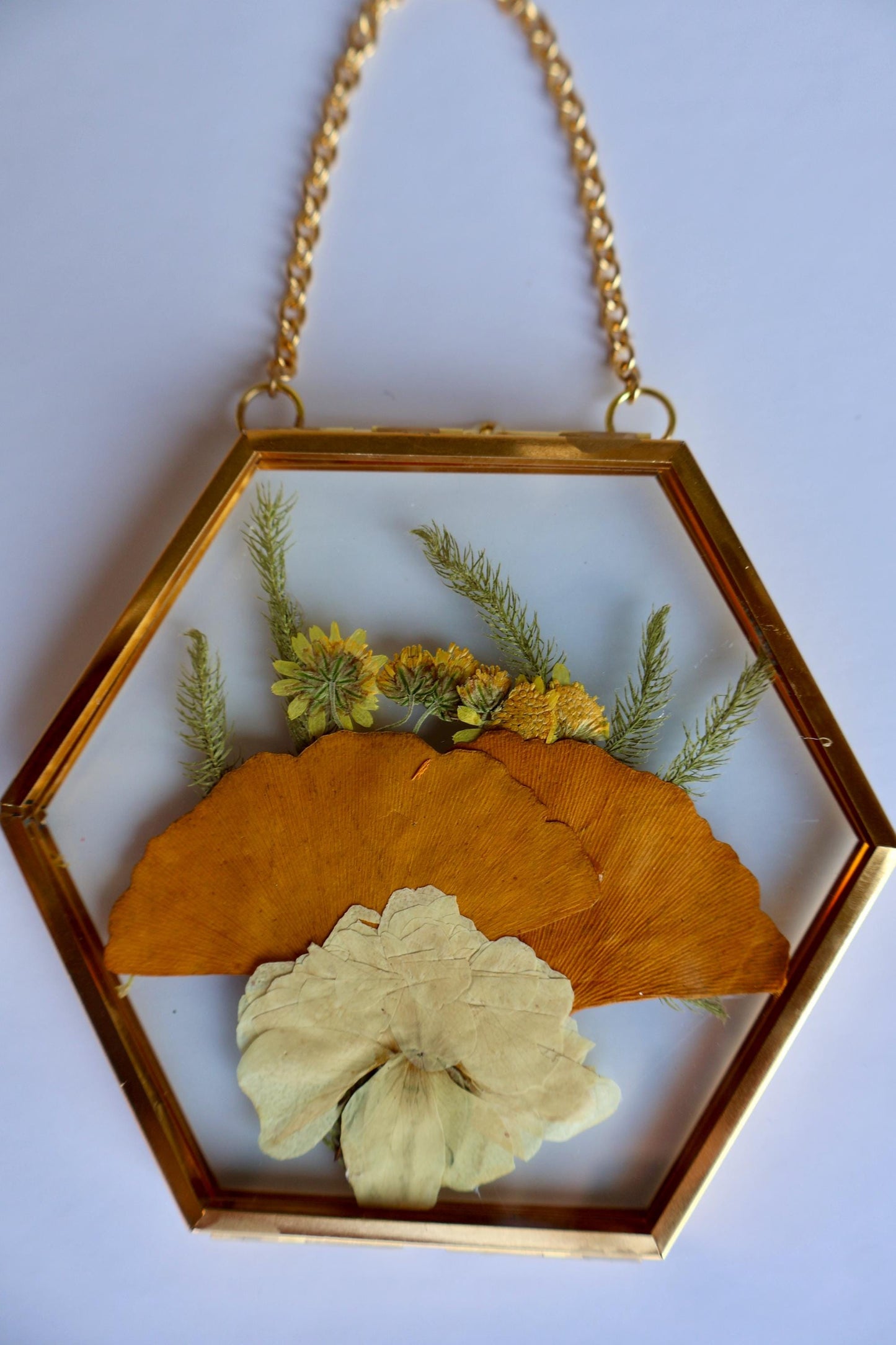 Pressed Flower Frame: Botanical Glass Wall Art, Wildflower Decor, Floral Gifts