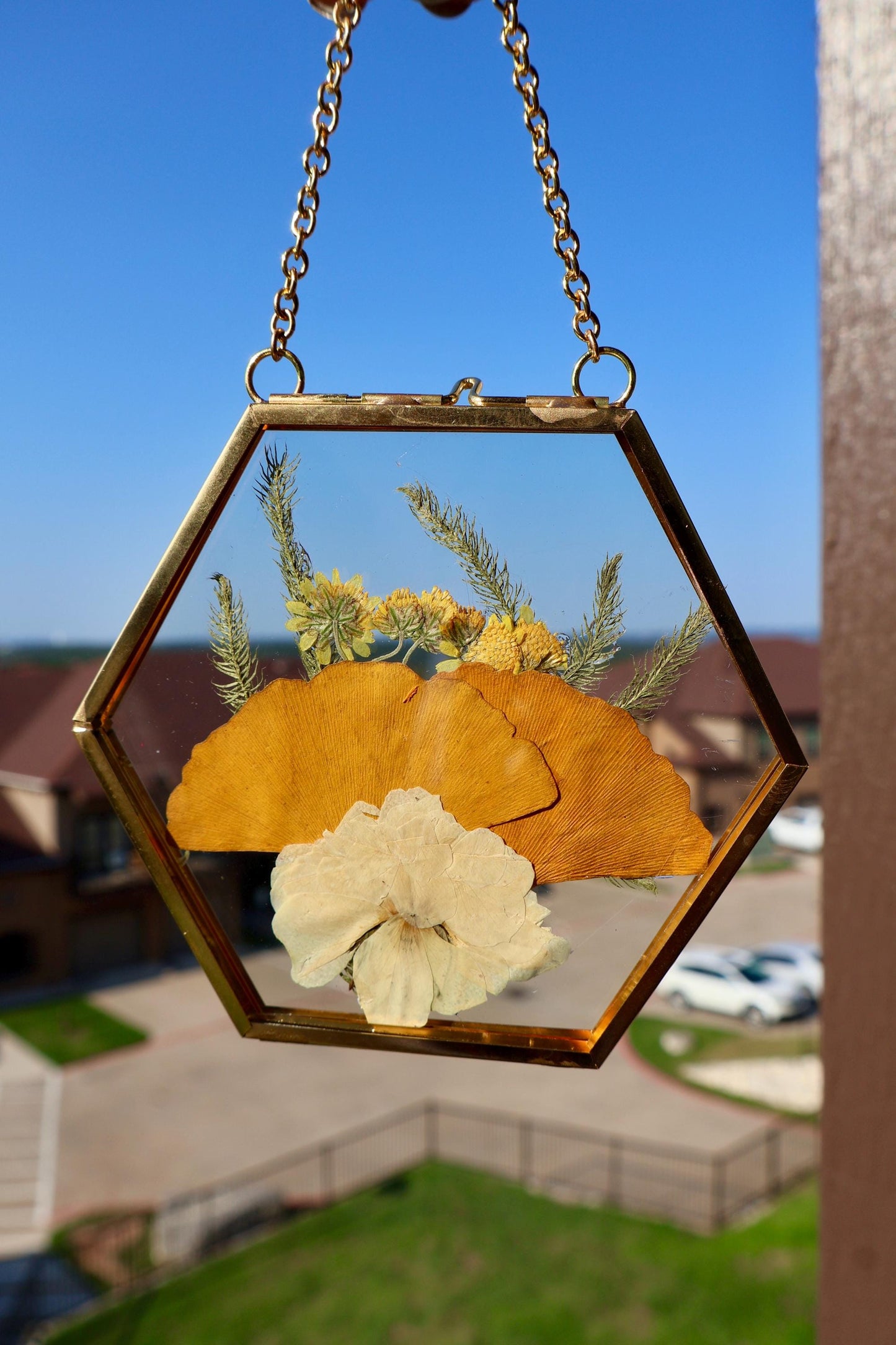 Pressed Flower Frame: Botanical Glass Wall Art, Wildflower Decor, Floral Gifts