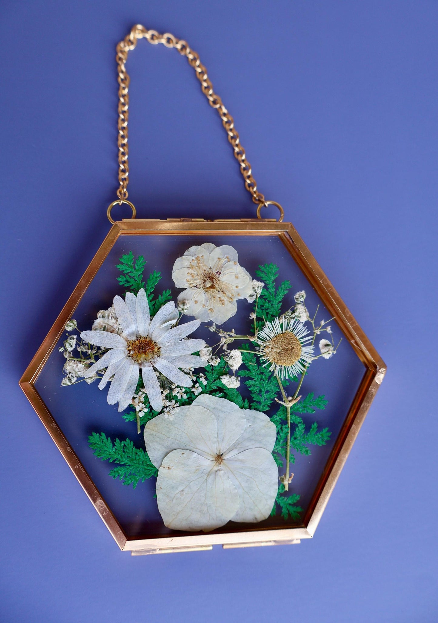 Pressed Flower Frame: Botanical Glass Wall Art, Wildflower Decor, Floral Gifts