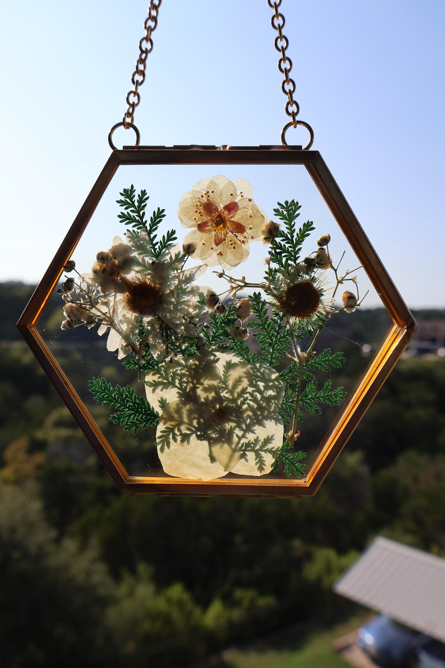 Pressed Flower Frame: Botanical Glass Wall Art, Wildflower Decor, Floral Gifts