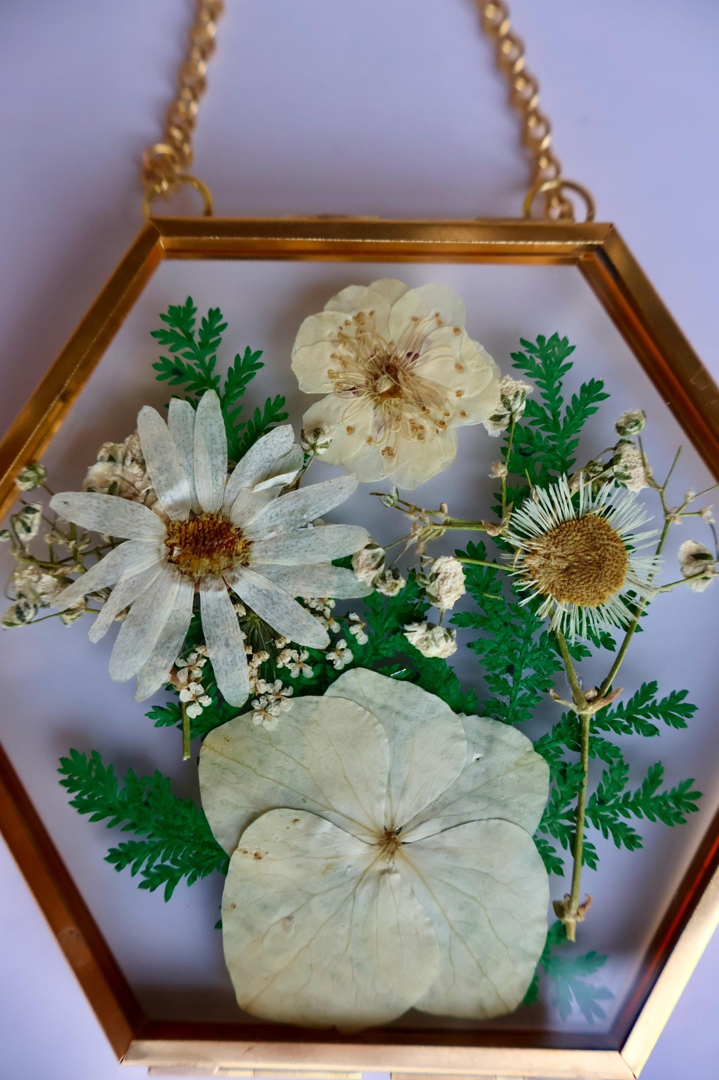 Pressed Flower Frame: Botanical Glass Wall Art, Wildflower Decor, Floral Gifts