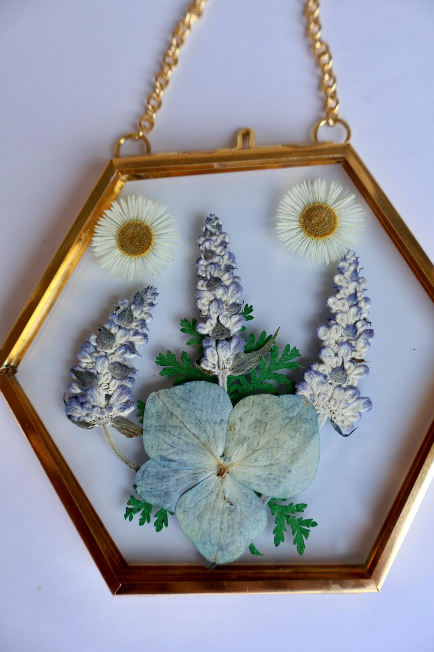Pressed Flower Frame: Botanical Glass Wall Art, Wildflower Decor, Floral Gifts