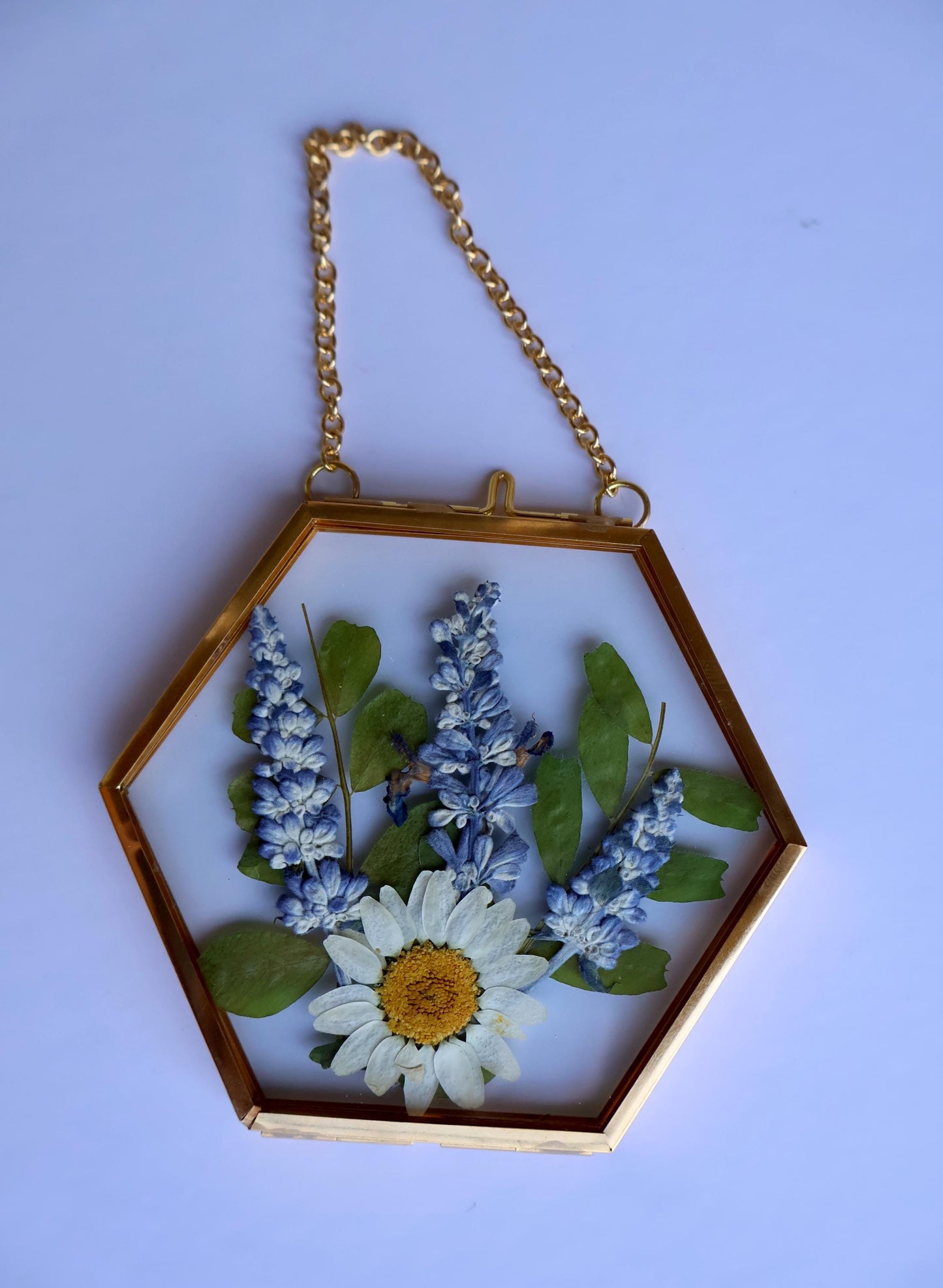 Pressed Flower Frame: Botanical Decor, Floral Gift, Dried Flowers