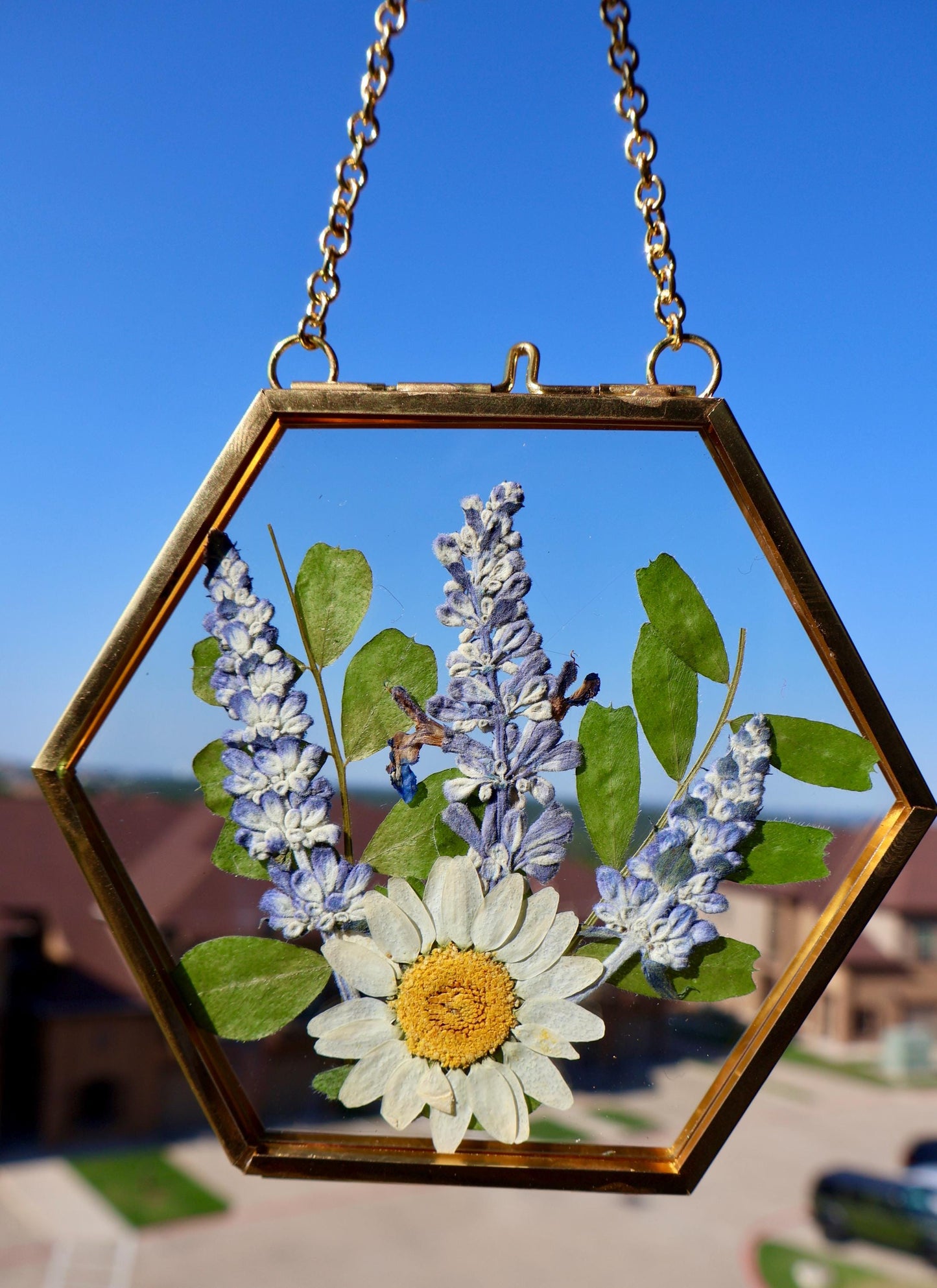 Pressed Flower Frame: Botanical Decor, Floral Gift, Dried Flowers