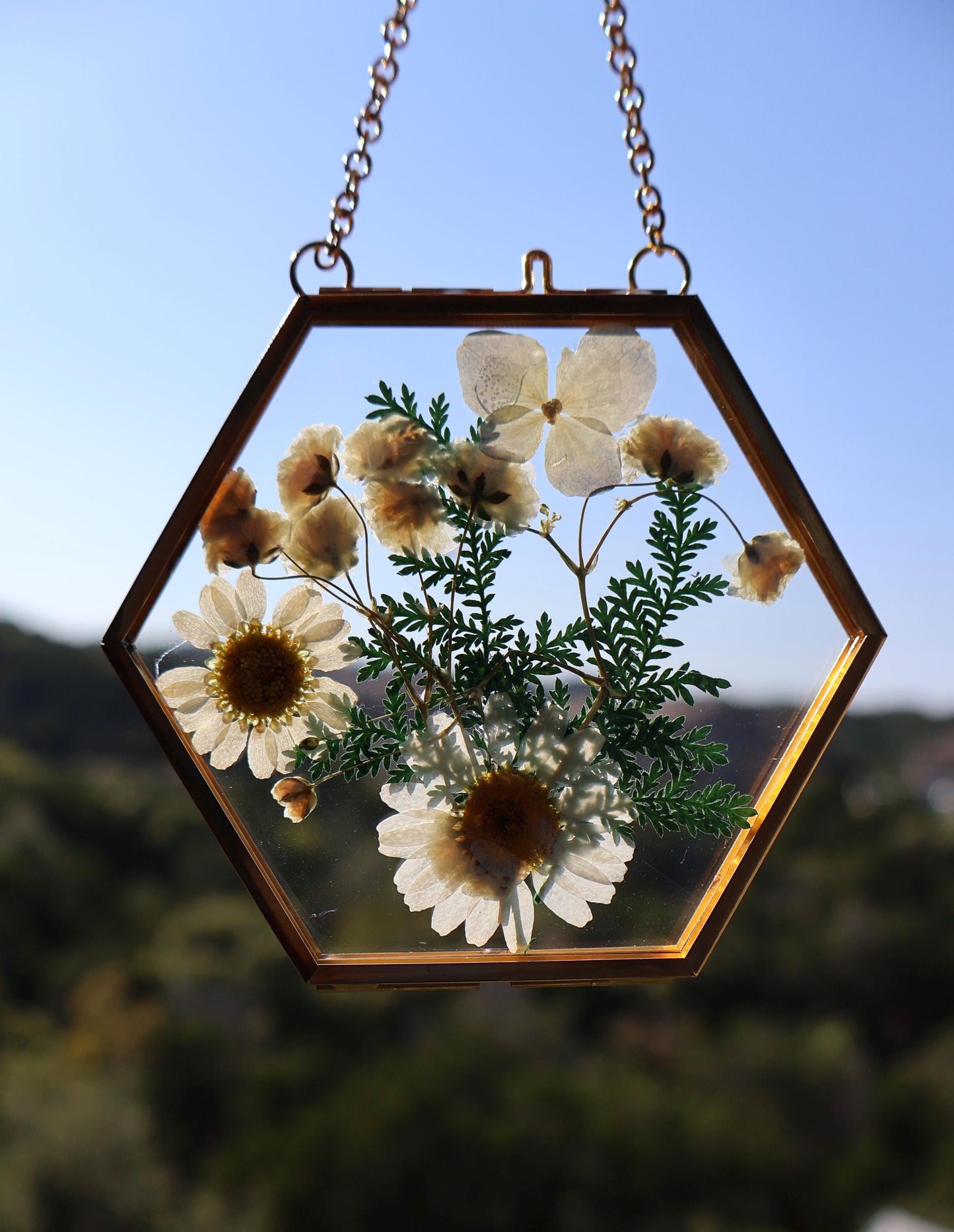 Pressed Flower Frame: Botanical Decor, Floral Gift, Dried Flowers
