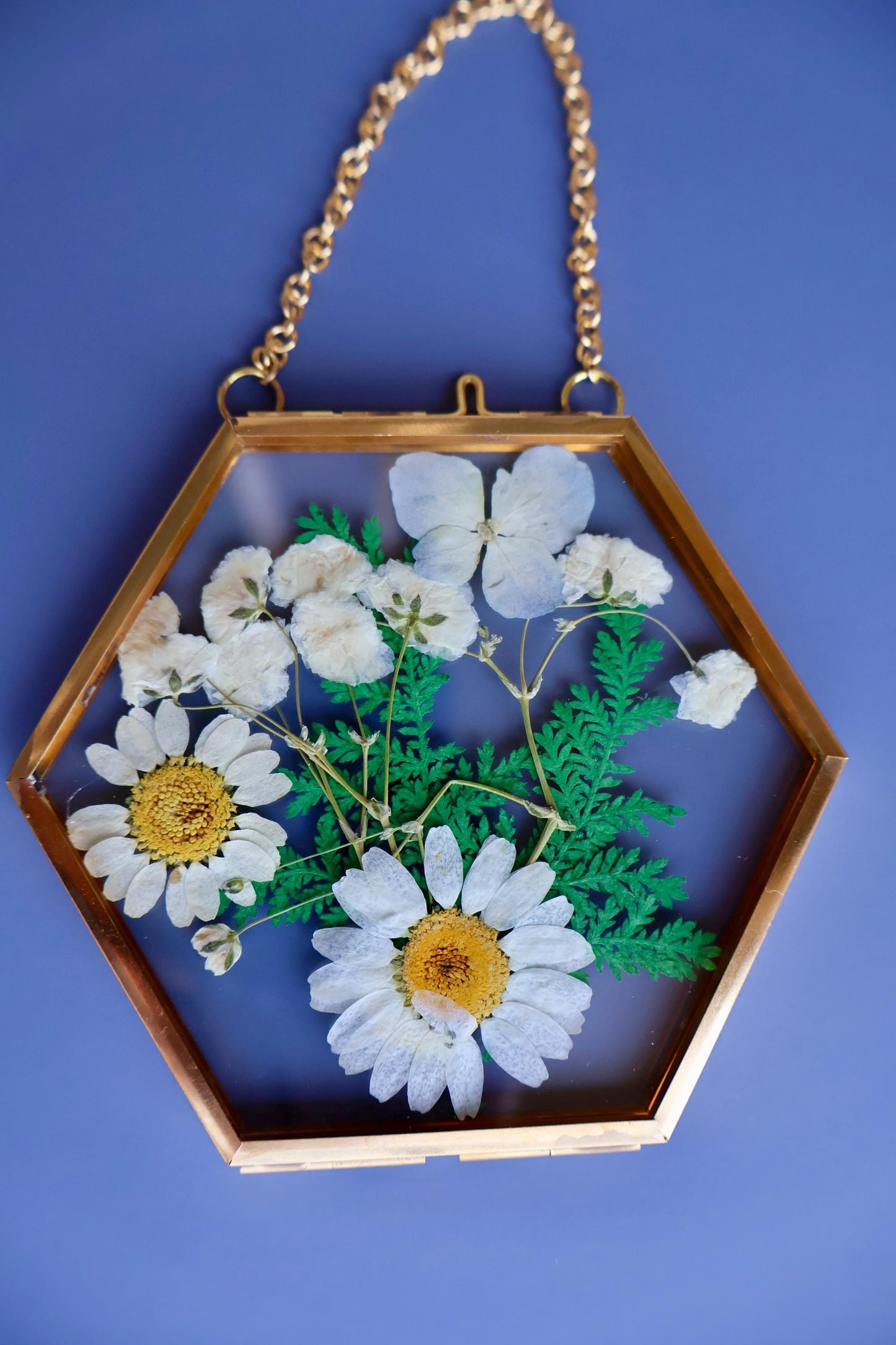 Pressed Flower Frame: Botanical Decor, Floral Gift, Dried Flowers