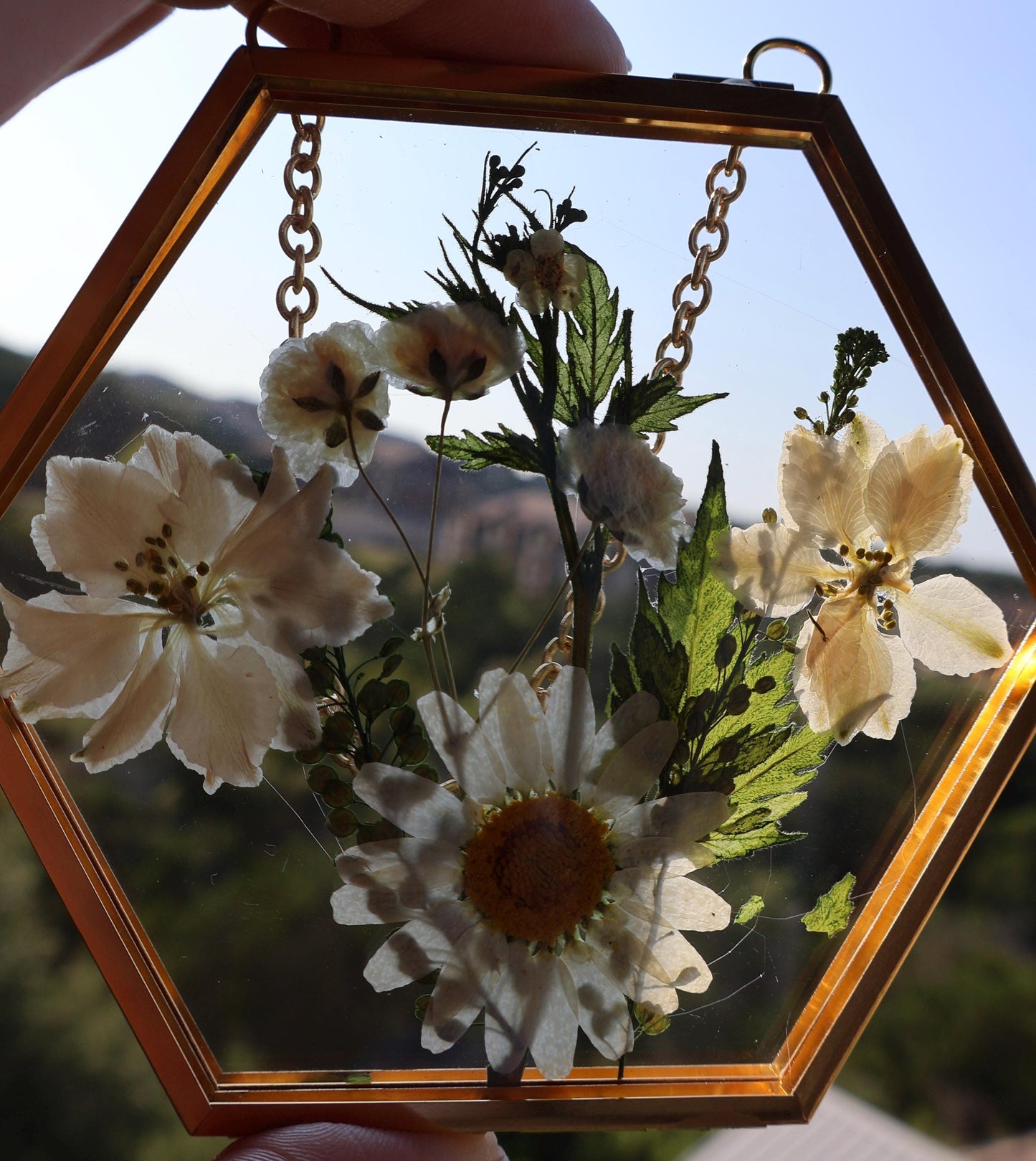 Pressed Flower Frame: Botanical Glass Wall Art, Wildflower Decor