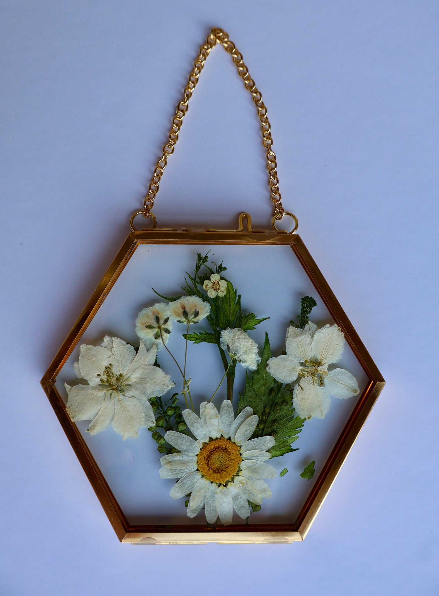 Pressed Flower Frame: Botanical Glass Wall Art, Wildflower Decor