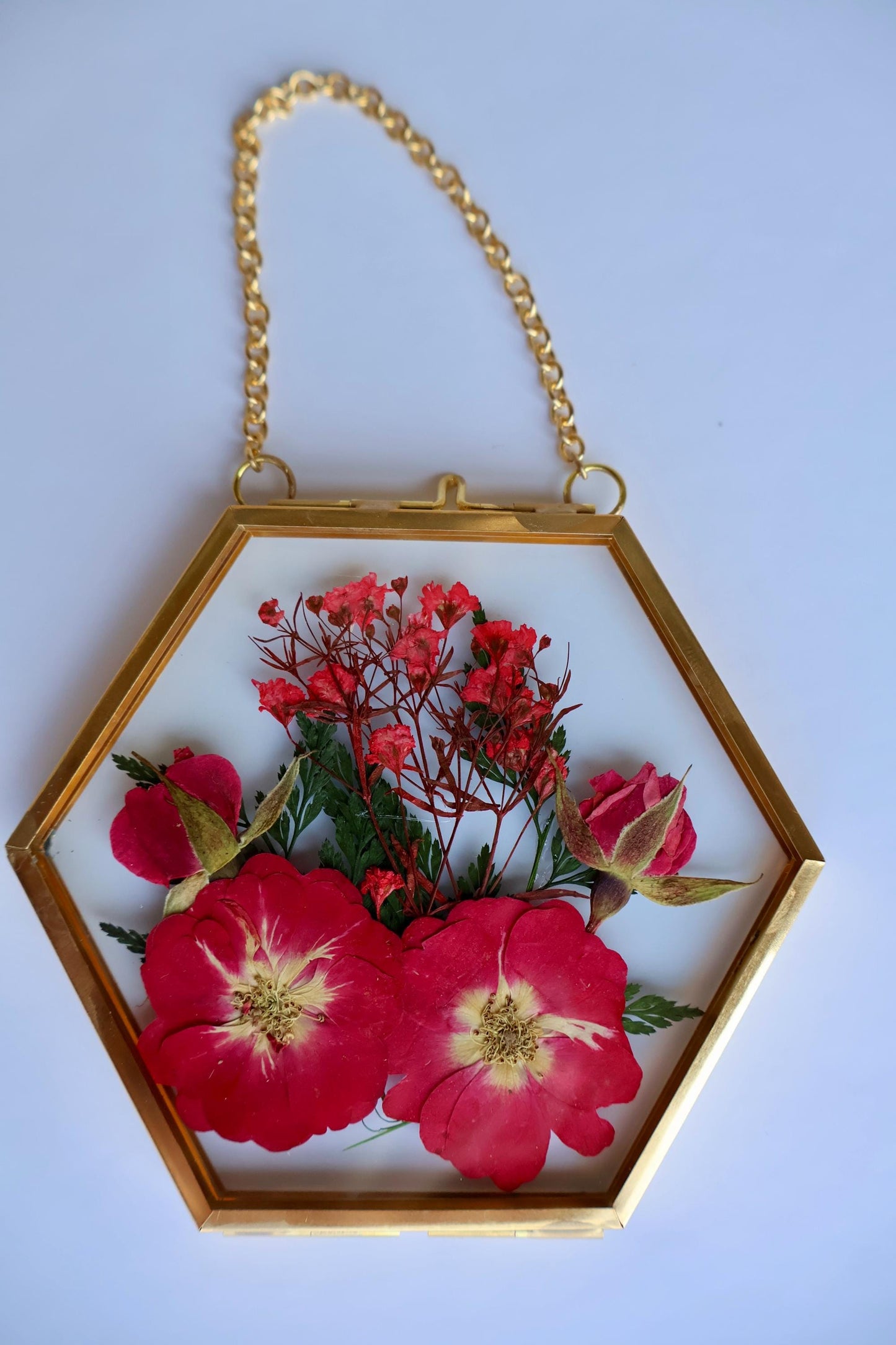 Pressed Flower Frame: Botanical Glass Wall Art, Wildflower Decor, Floral Gifts