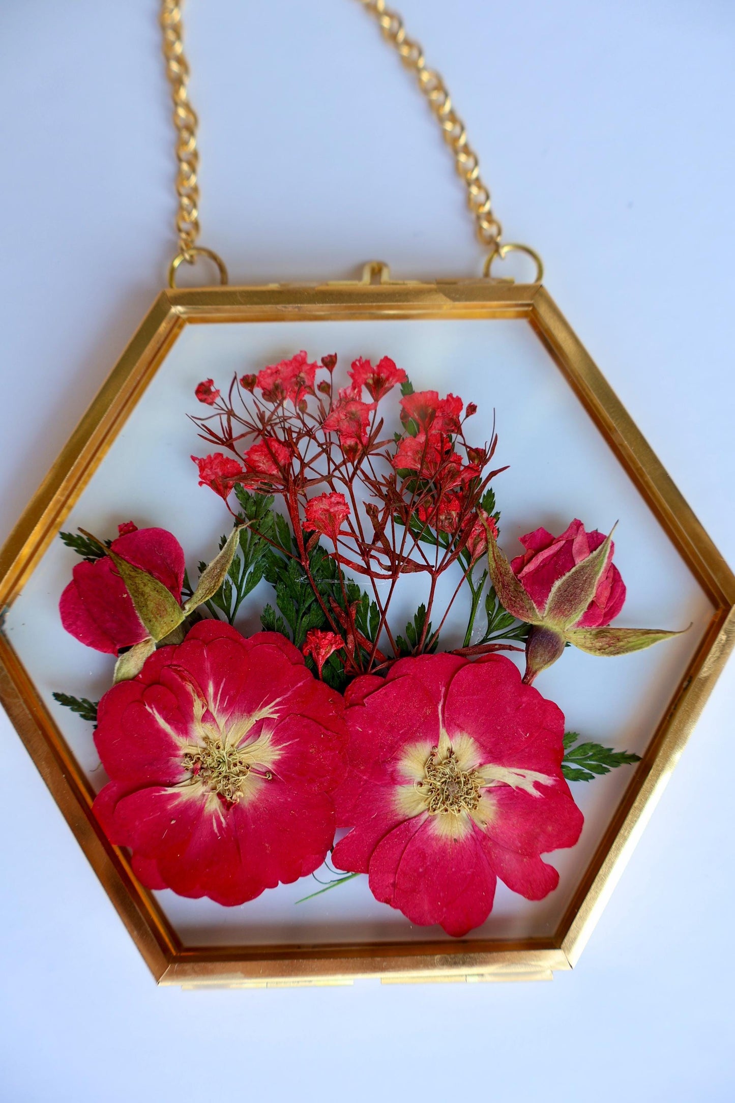 Pressed Flower Frame: Botanical Glass Wall Art, Wildflower Decor, Floral Gifts