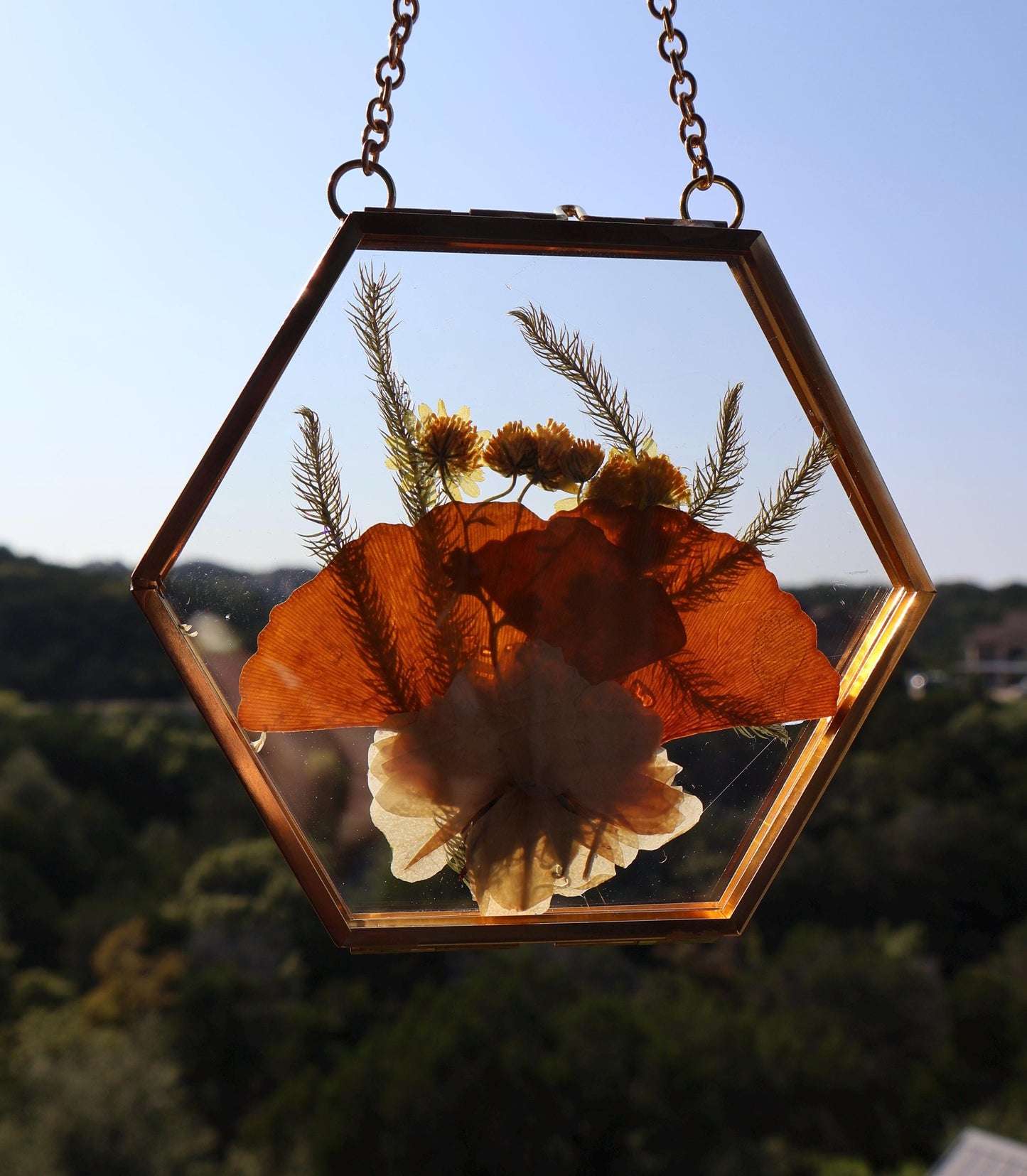 Pressed Flower Frame: Botanical Glass Wall Art, Wildflower Decor, Floral Gifts