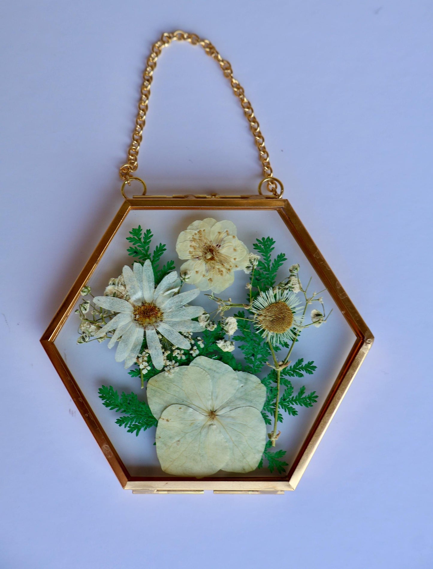 Pressed Flower Frame: Botanical Glass Wall Art, Wildflower Decor, Floral Gifts