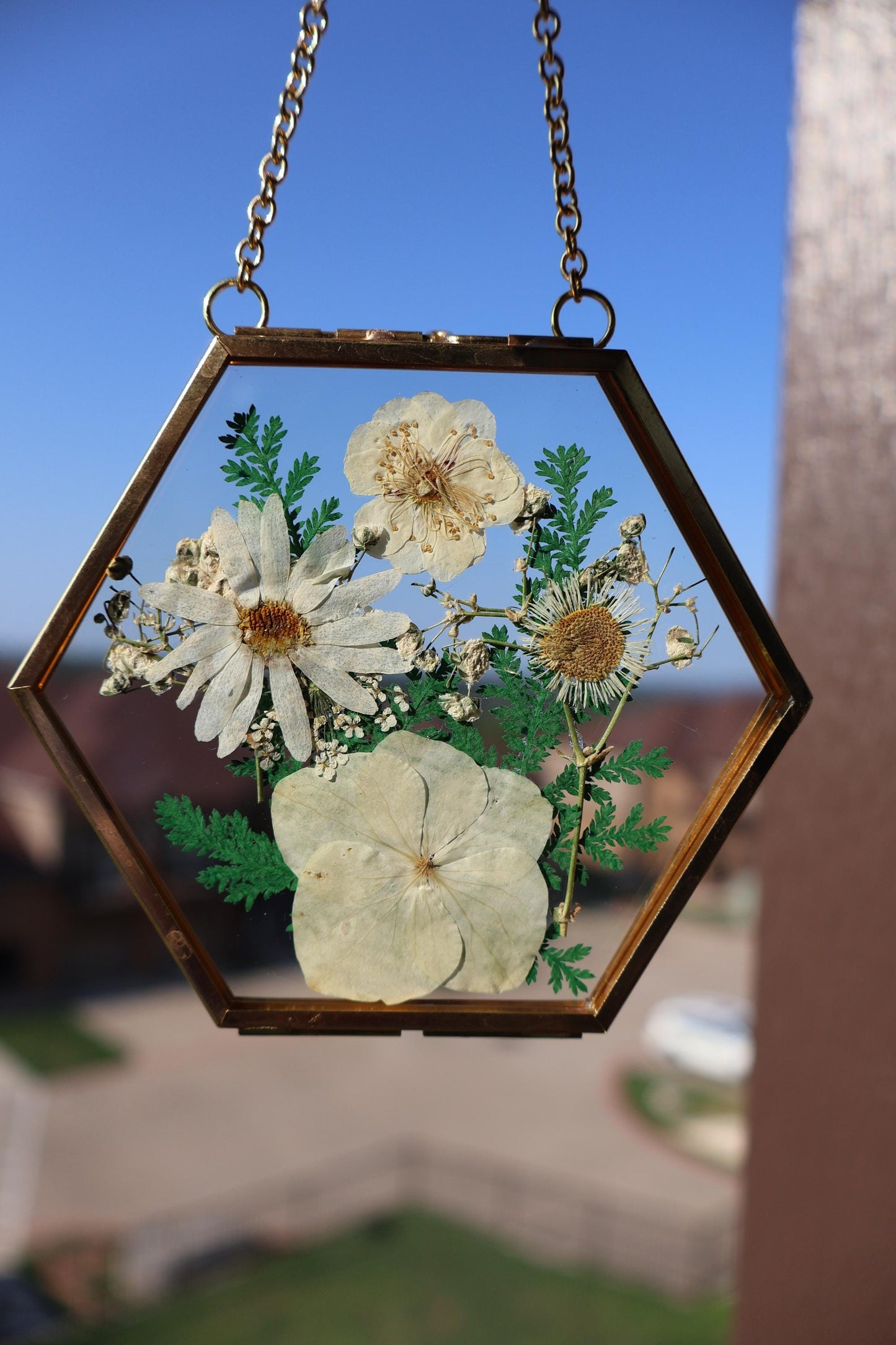 Pressed Flower Frame: Botanical Glass Wall Art, Wildflower Decor, Floral Gifts