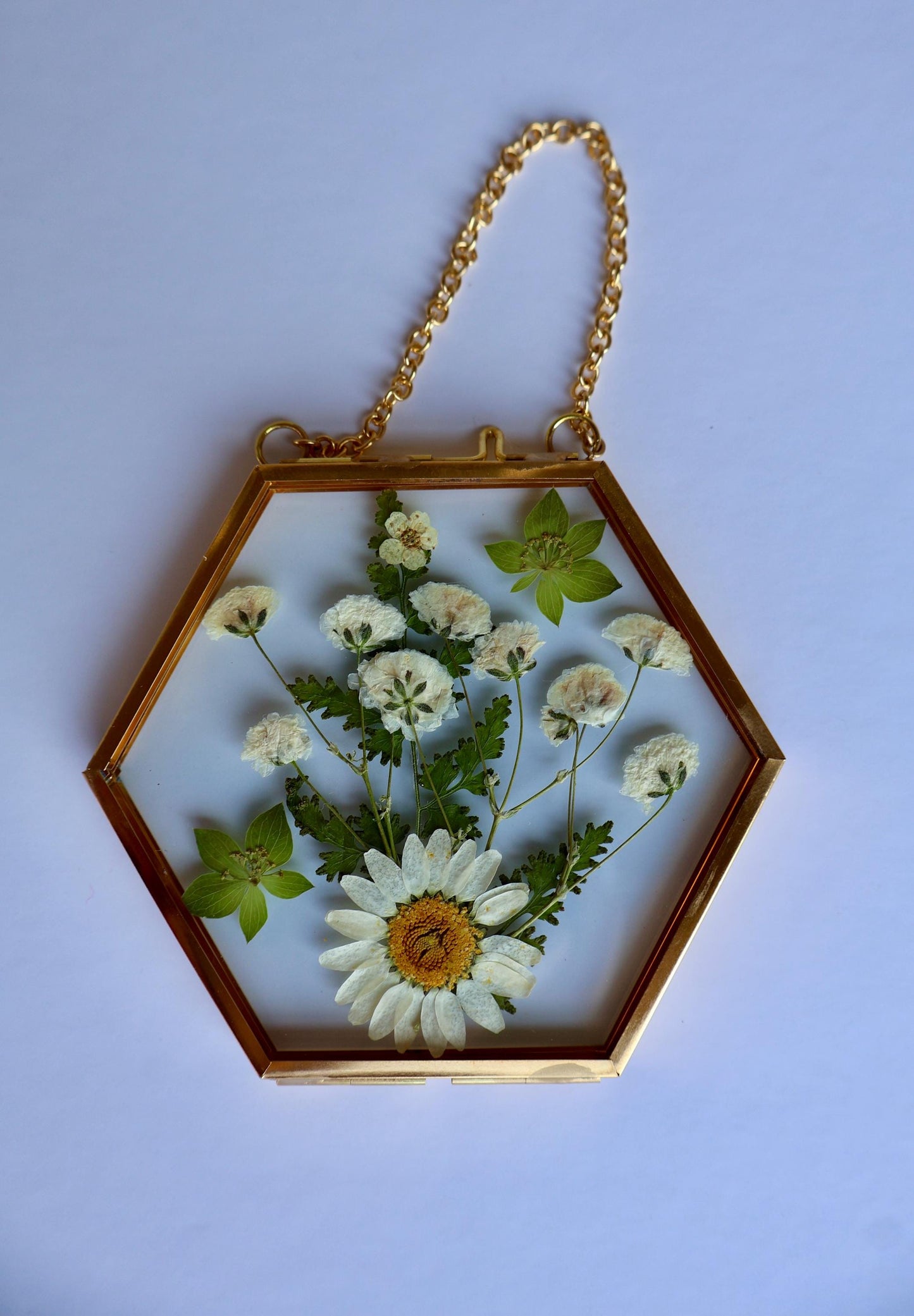 Pressed Flower Frame: Botanical Glass Wall Art, Wildflower Decor, Floral Gifts