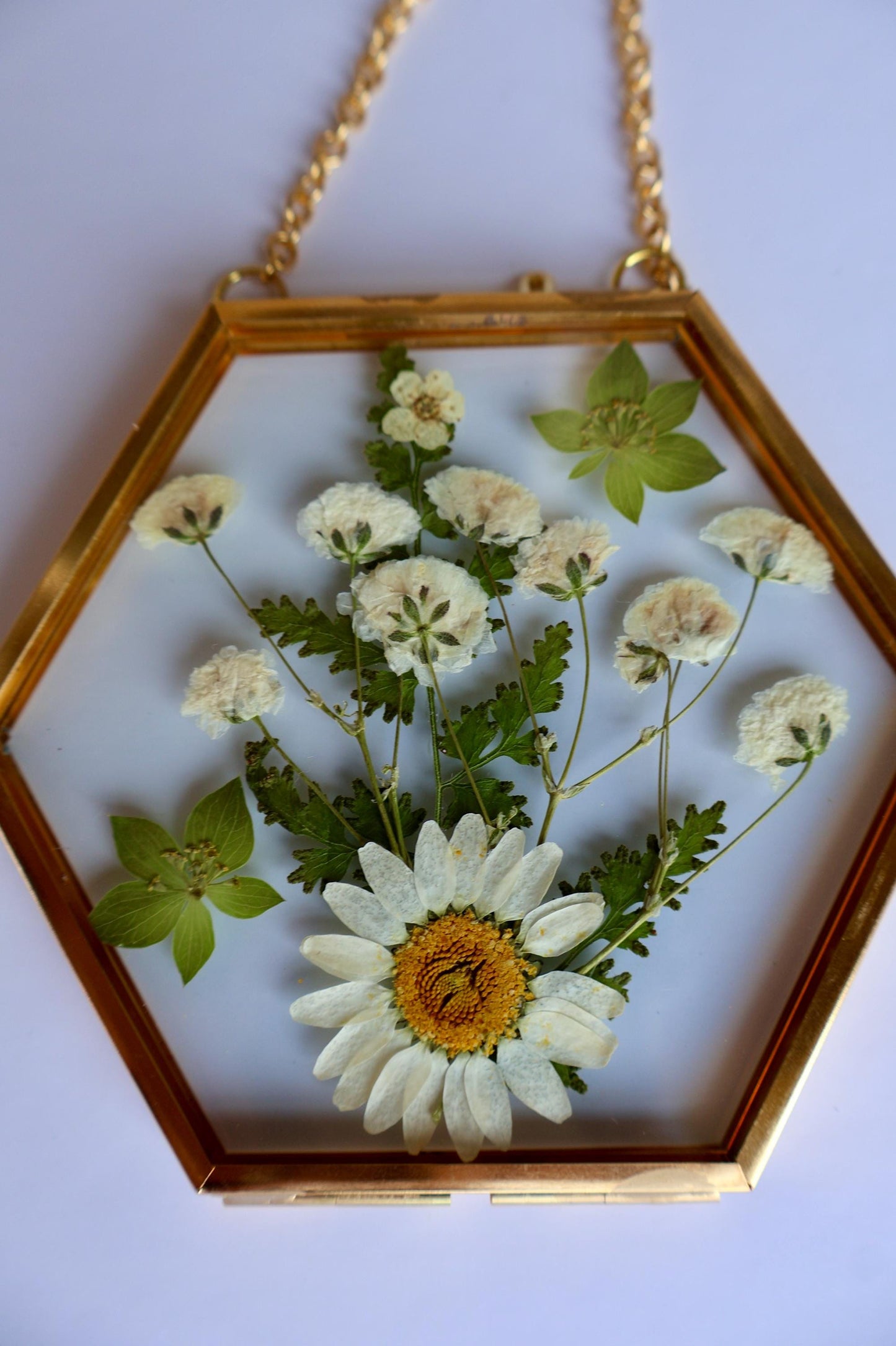 Pressed Flower Frame: Botanical Glass Wall Art, Wildflower Decor, Floral Gifts