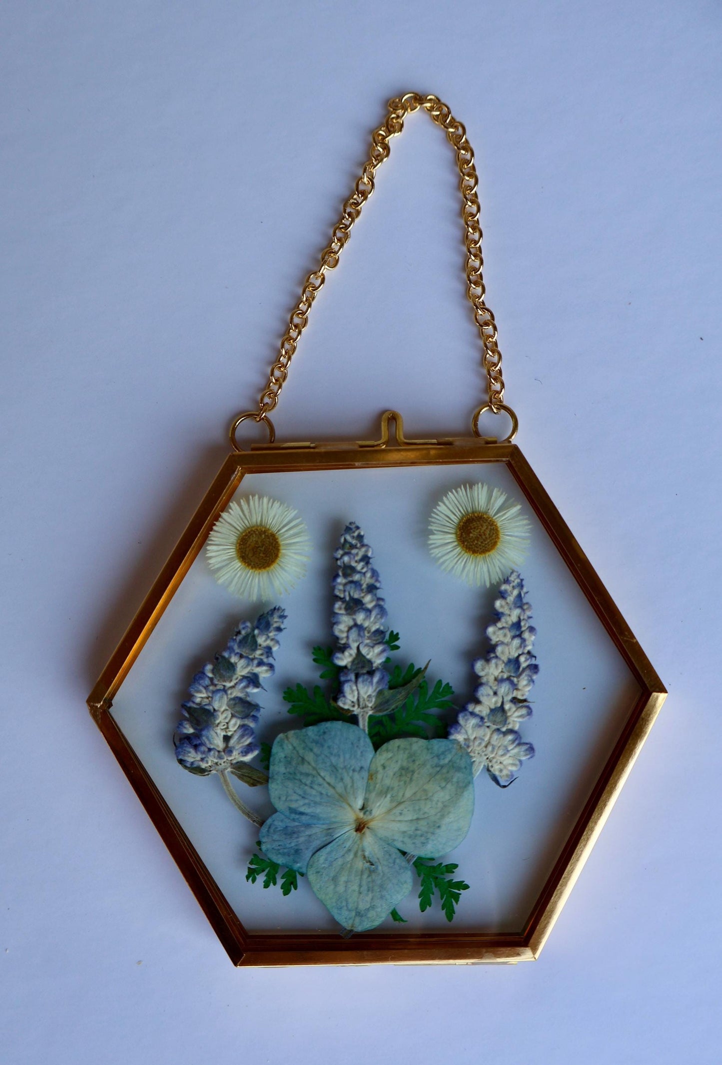 Pressed Flower Frame: Botanical Glass Wall Art, Wildflower Decor, Floral Gifts