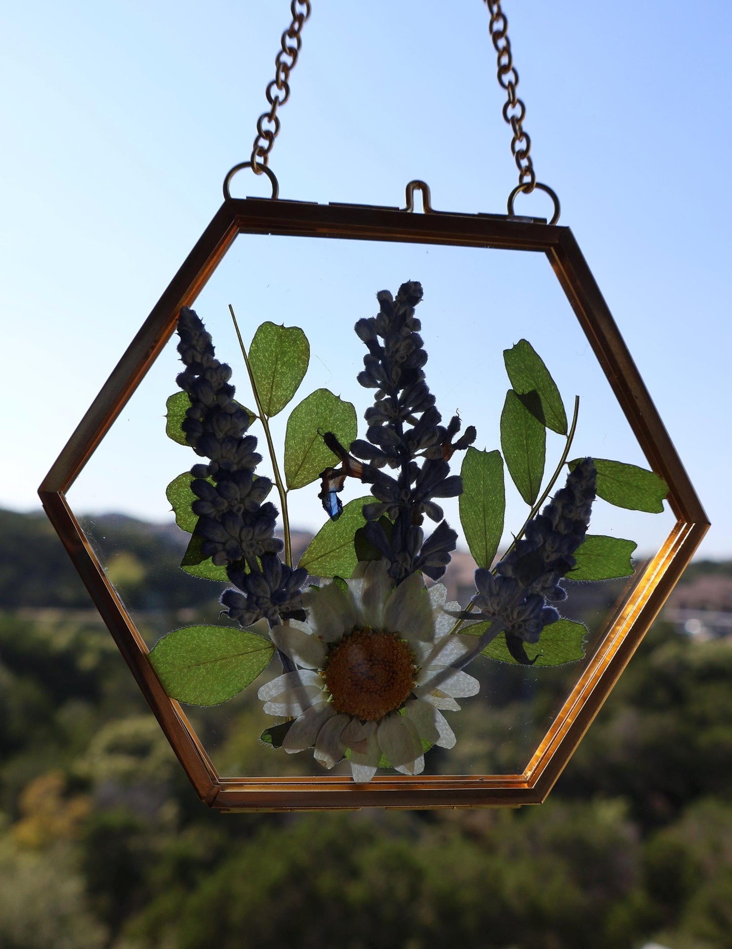 Pressed Flower Frame: Botanical Decor, Floral Gift, Dried Flowers