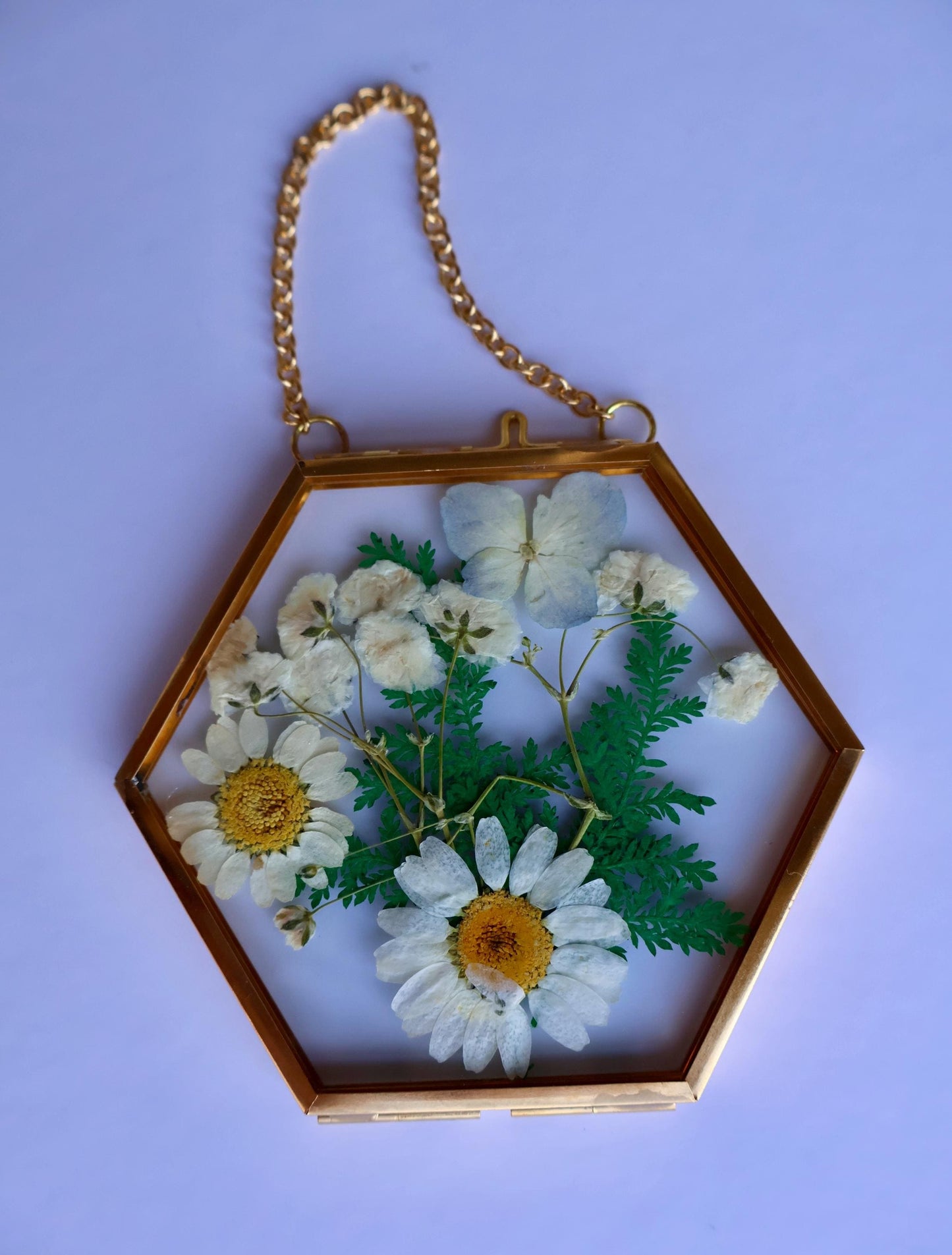 Pressed Flower Frame: Botanical Decor, Floral Gift, Dried Flowers