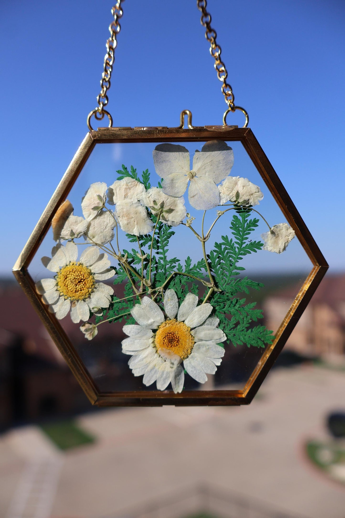 Pressed Flower Frame: Botanical Decor, Floral Gift, Dried Flowers