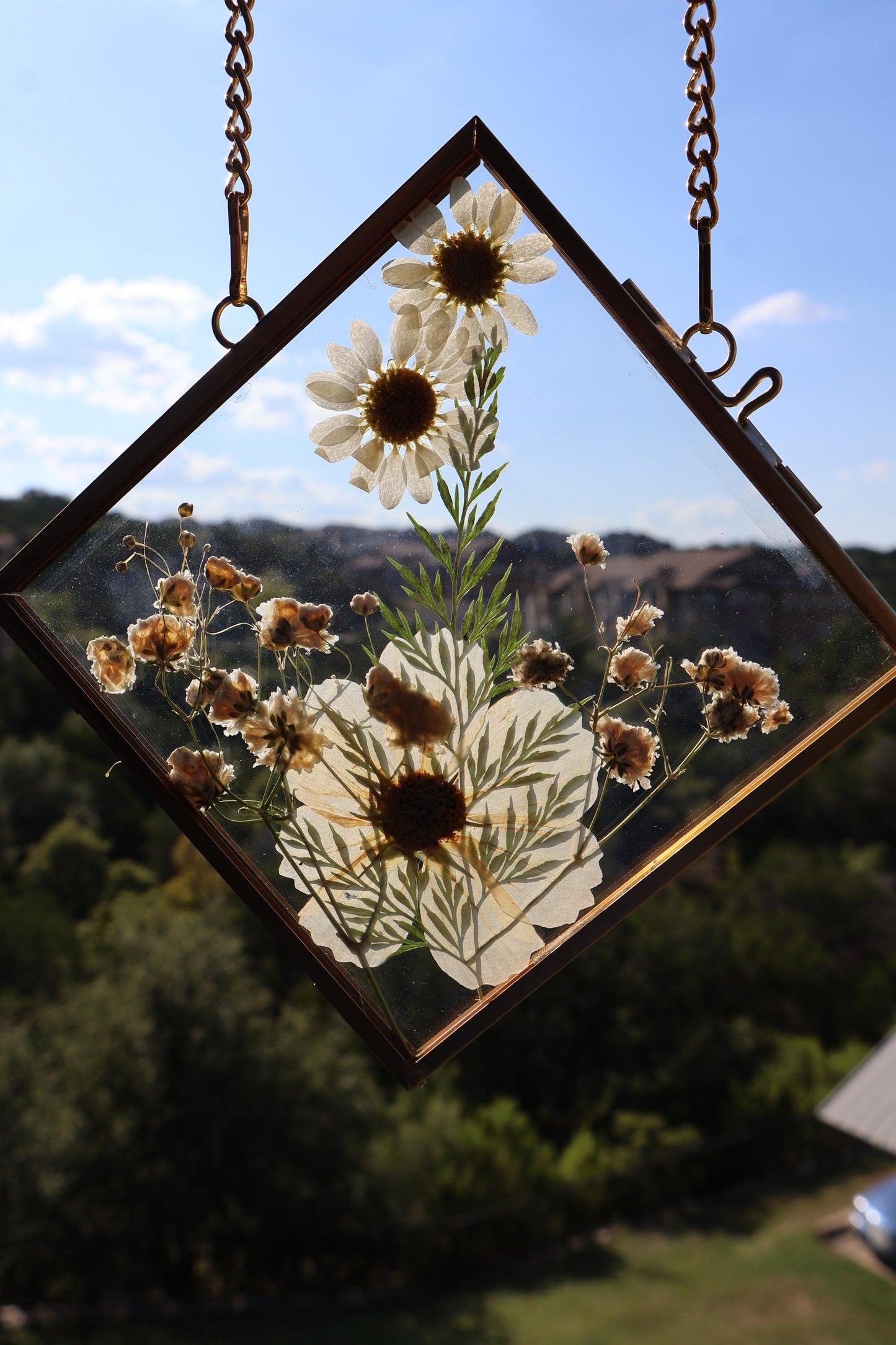 Custom Pressed Wildflower Frame: Botanical Glass Wall Art, Custom Floral Gifts