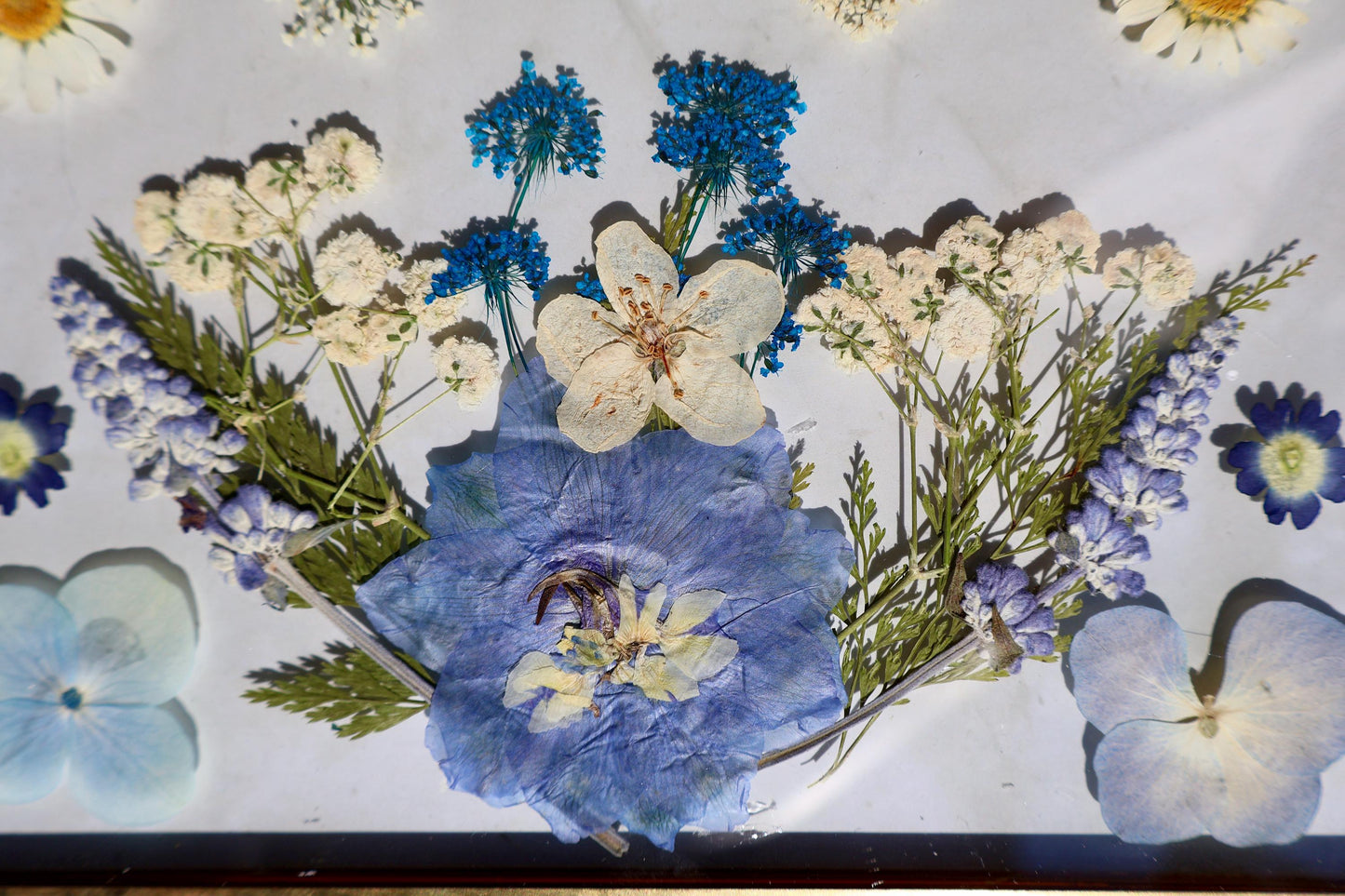 Custom Pressed Flower Polaroid Frame: Botanical Wall Art, Dried Wildflower Decor, Floral Gifts