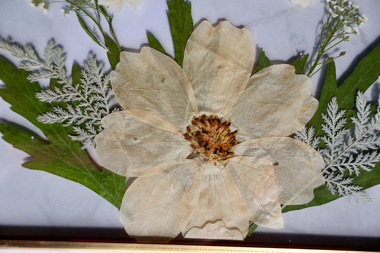 Custom Pressed Flower Polaroid Frame: Botanical Wall Art, Dried Wildflower Decor, Floral Gifts