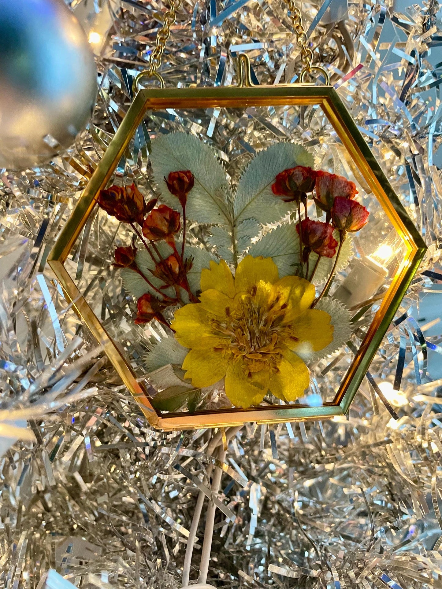 Pressed Flower Frame: Botanical Decor, Floral Gift, Dried Flowers, Flower Ornament