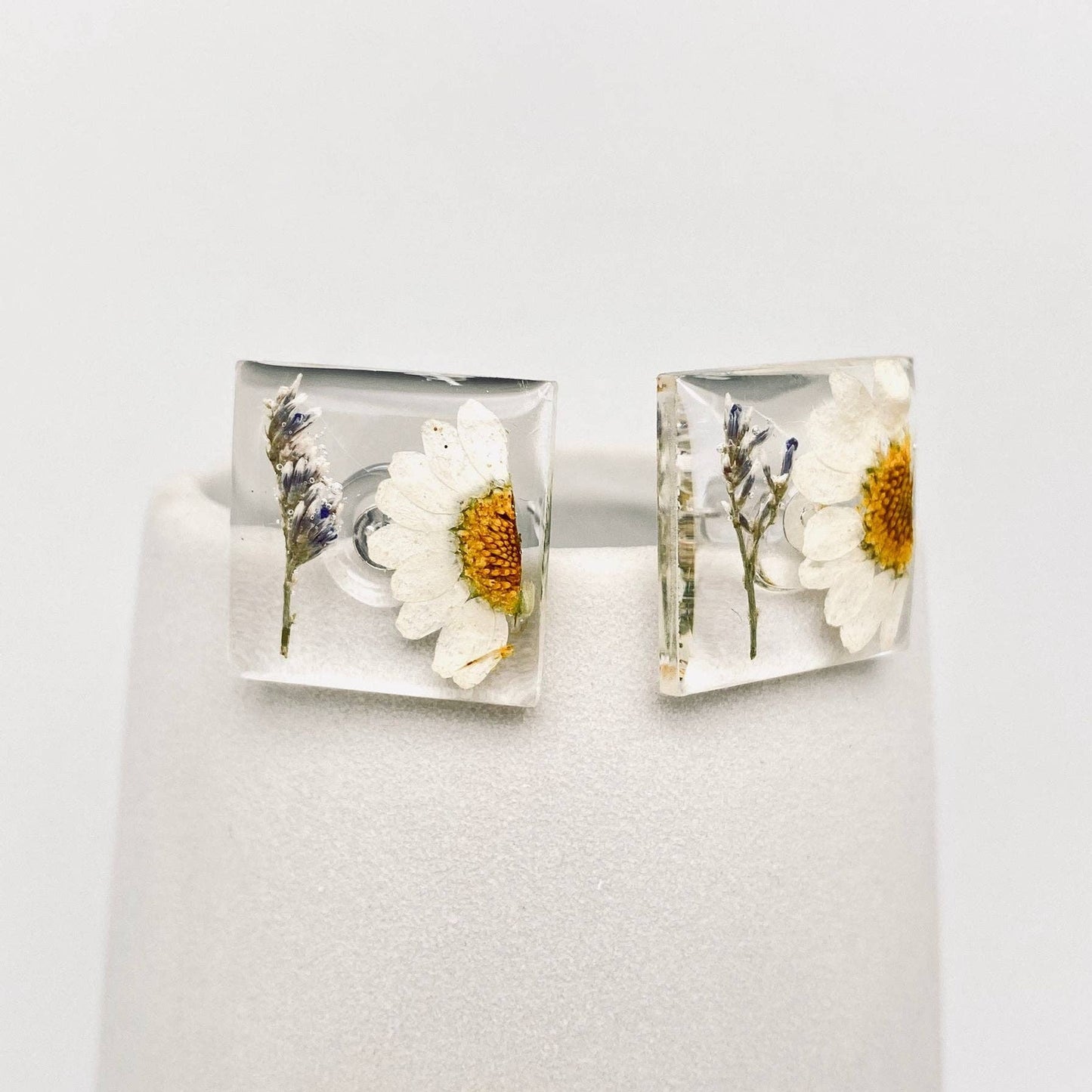 Daisy and Casbia Dried Flower Square  Floral Ear Studs