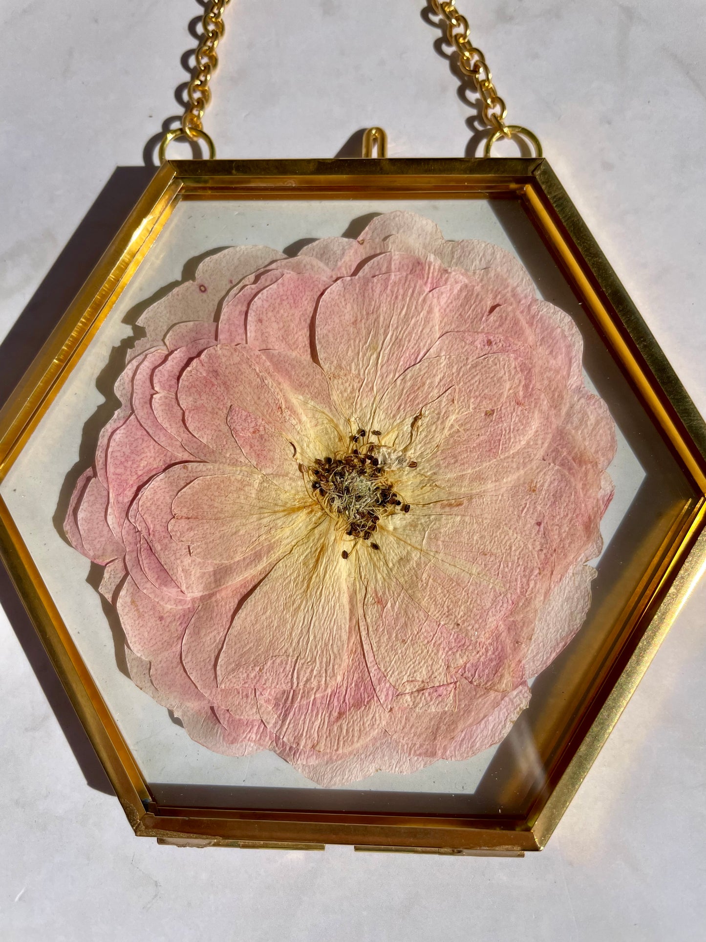Custom Pressed Wildflower Frame: Botanical Glass Window Decor, Custom Floral Gifts, Flower Ornaments