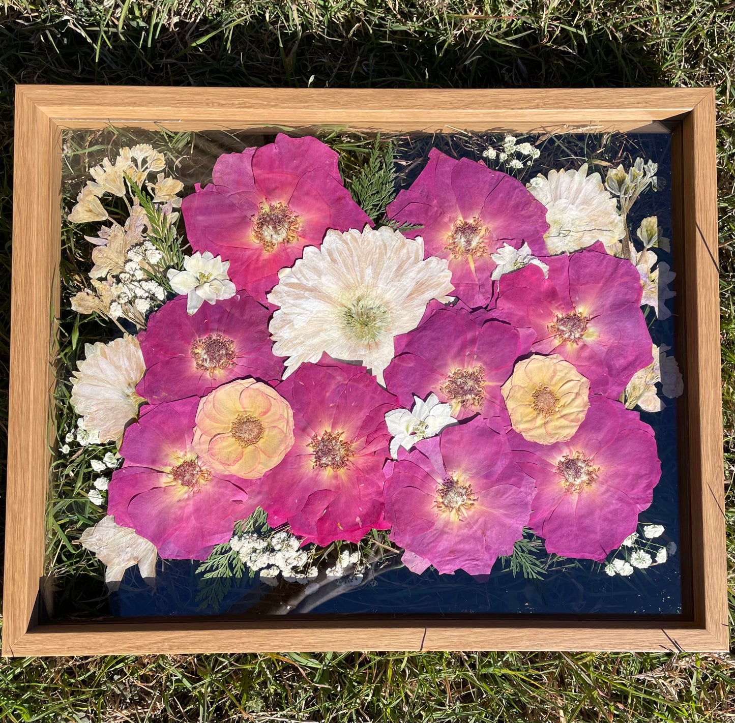 Framed artwork with pressed flowers including pink and white blossoms on a dark background.