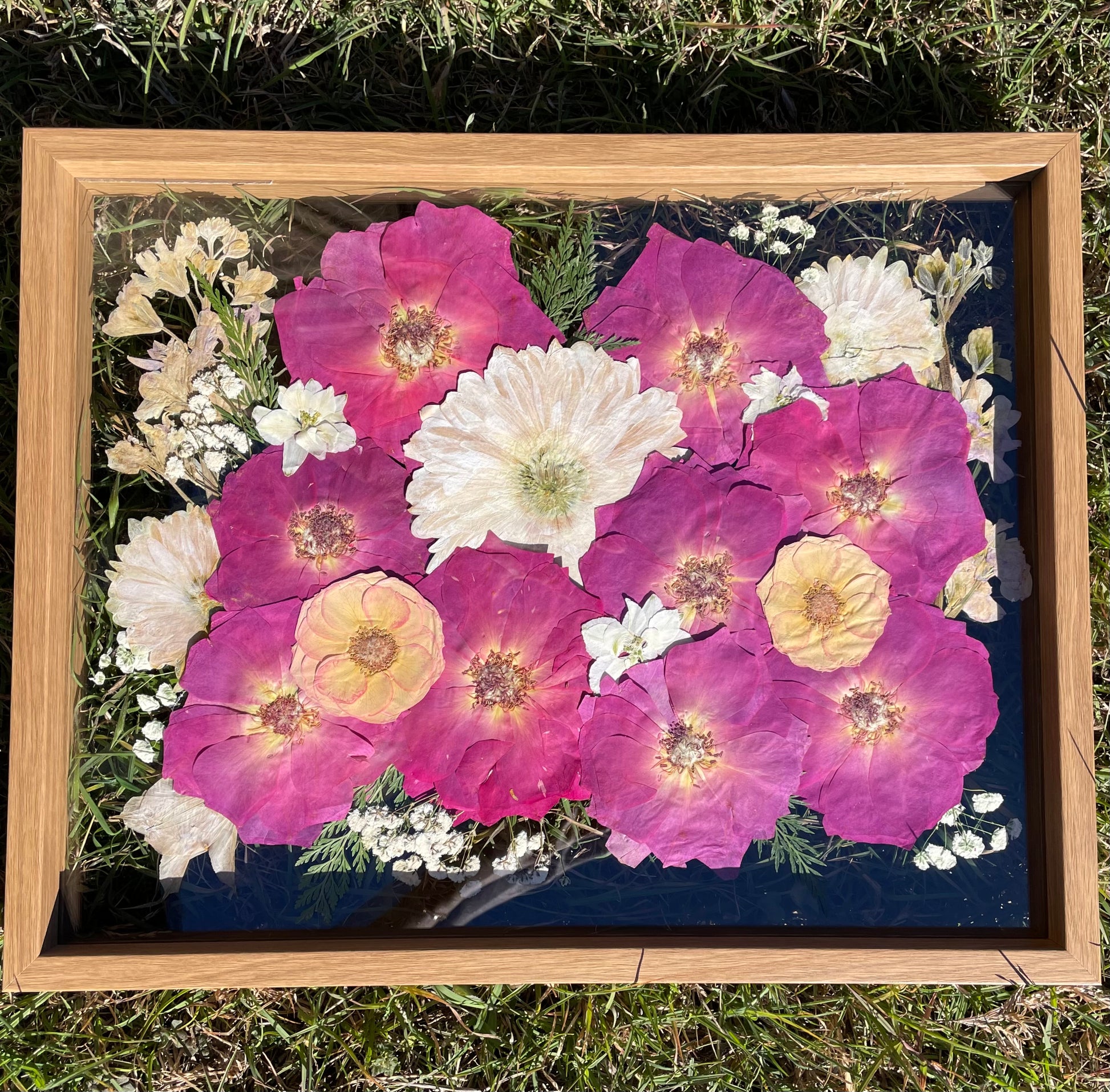 Framed artwork with pressed flowers including pink and white blossoms on a dark background.
