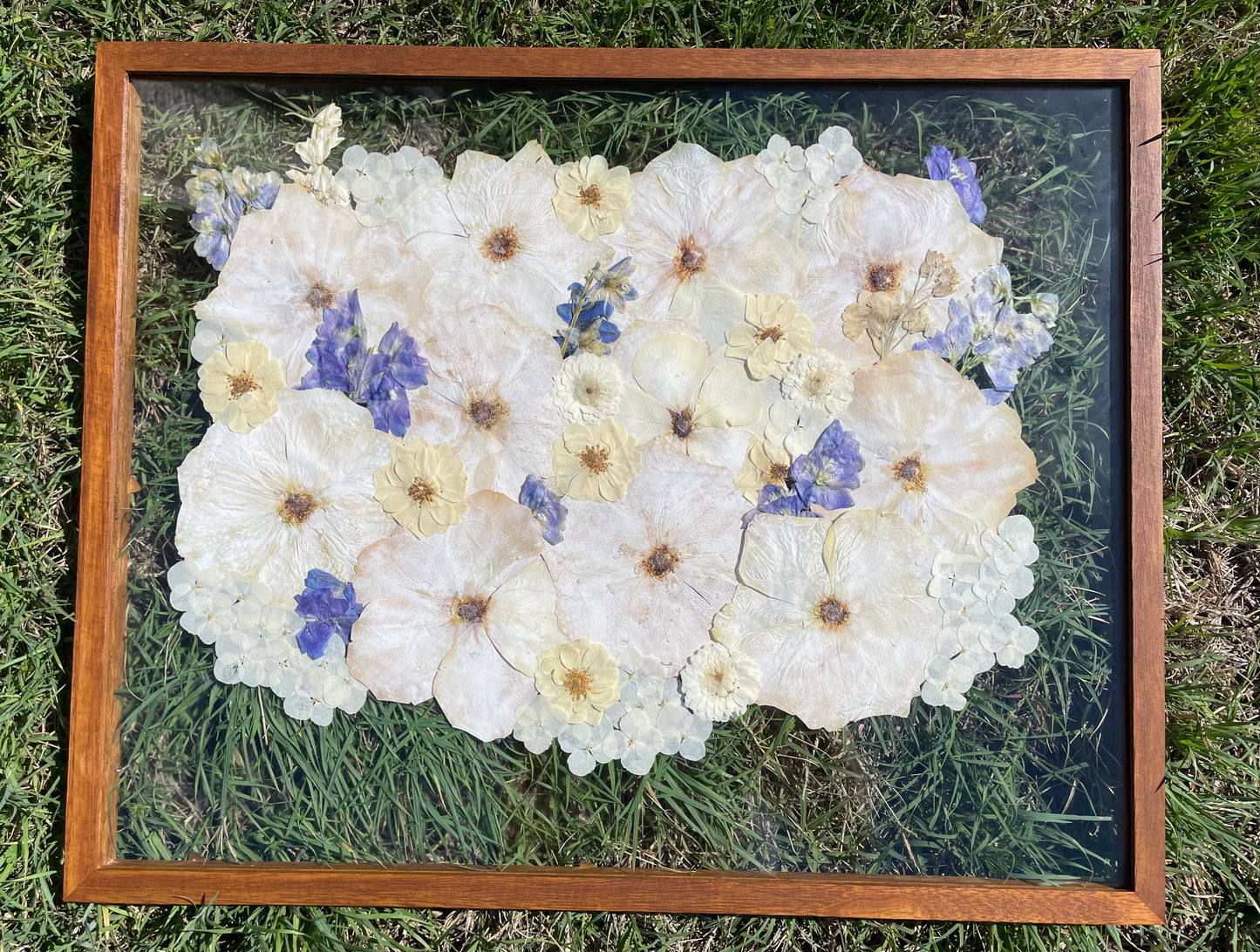 Framed arrangement of pressed flowers on a grass background
