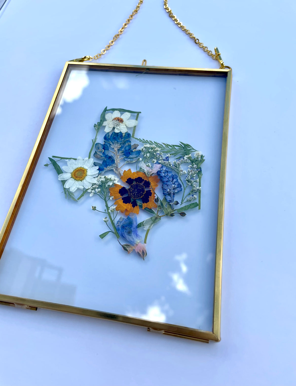 Texas Pressed Flower Frame | Real Botanical Art | 5x7 Hanging Display