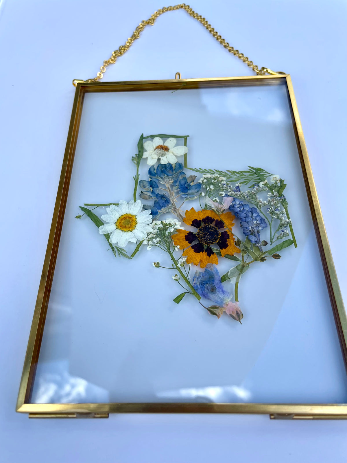 Texas Pressed Flower Frame | Real Botanical Art | 5x7 Hanging Display