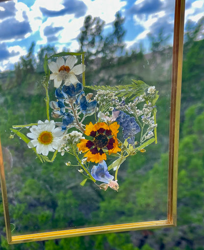 Texas Pressed Flower Frame | Real Botanical Art | 5x7 Hanging Display