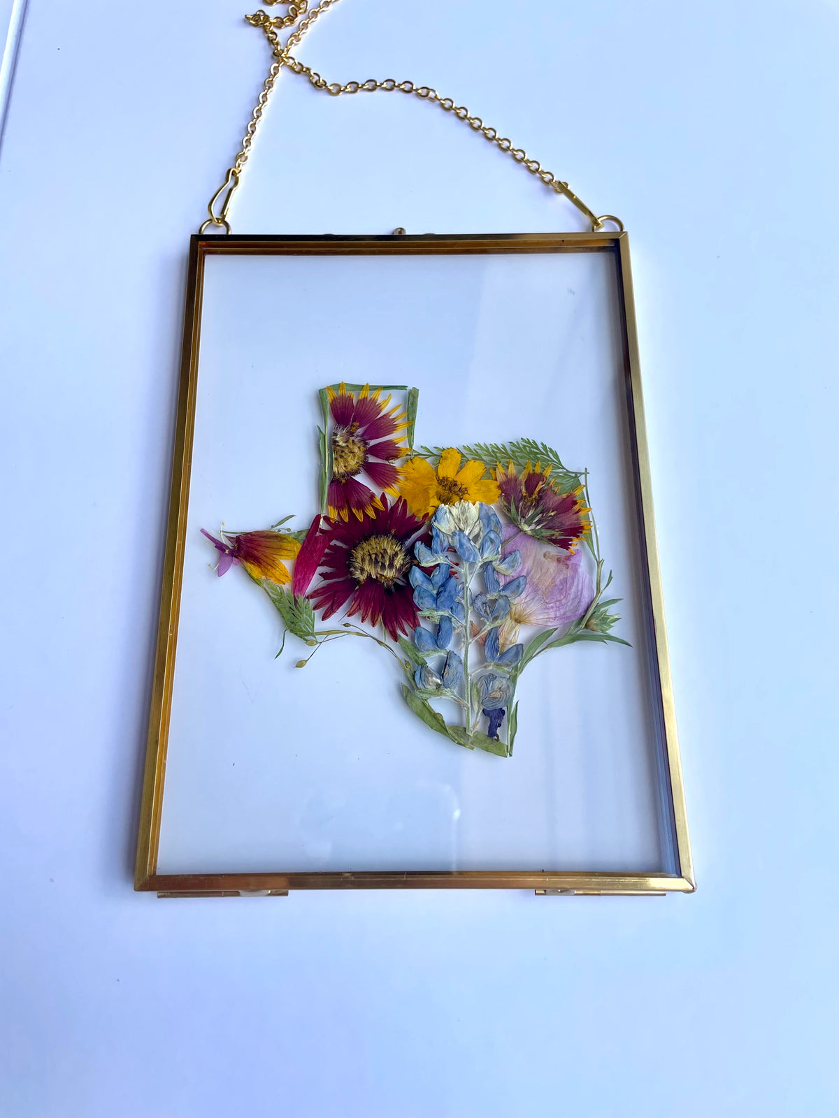 Texas Pressed Flower Frame | Real Botanical Art | 5x7 Hanging Display