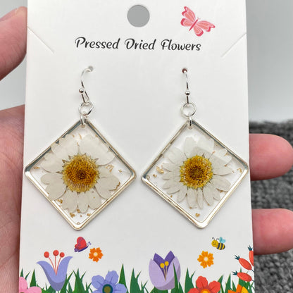 Leucanthemum Paludosum Dried Flower Rhombus Earrings