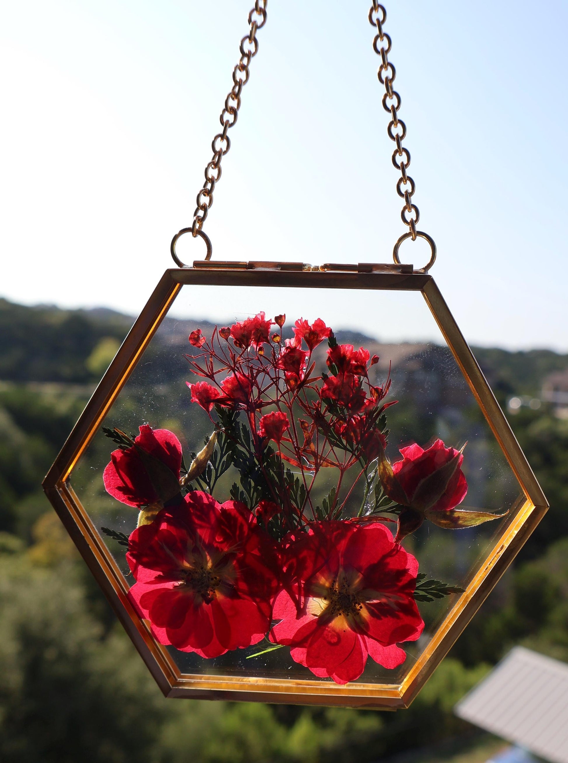 Pressed Flower Frame: Botanical Glass Wall Art, Wildflower Decor, Floral Gifts