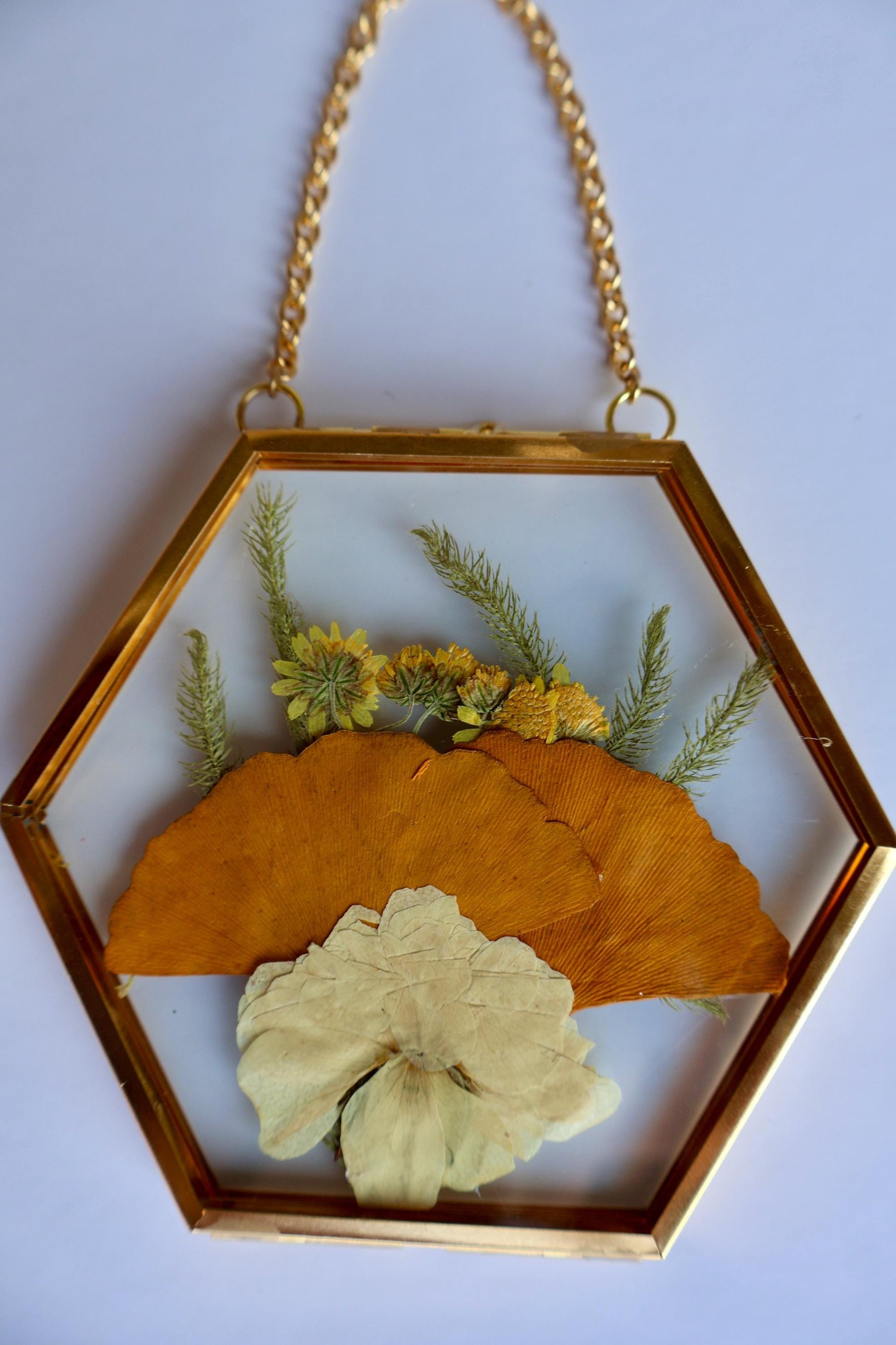 Pressed Flower Frame: Botanical Glass Wall Art, Wildflower Decor, Floral Gifts