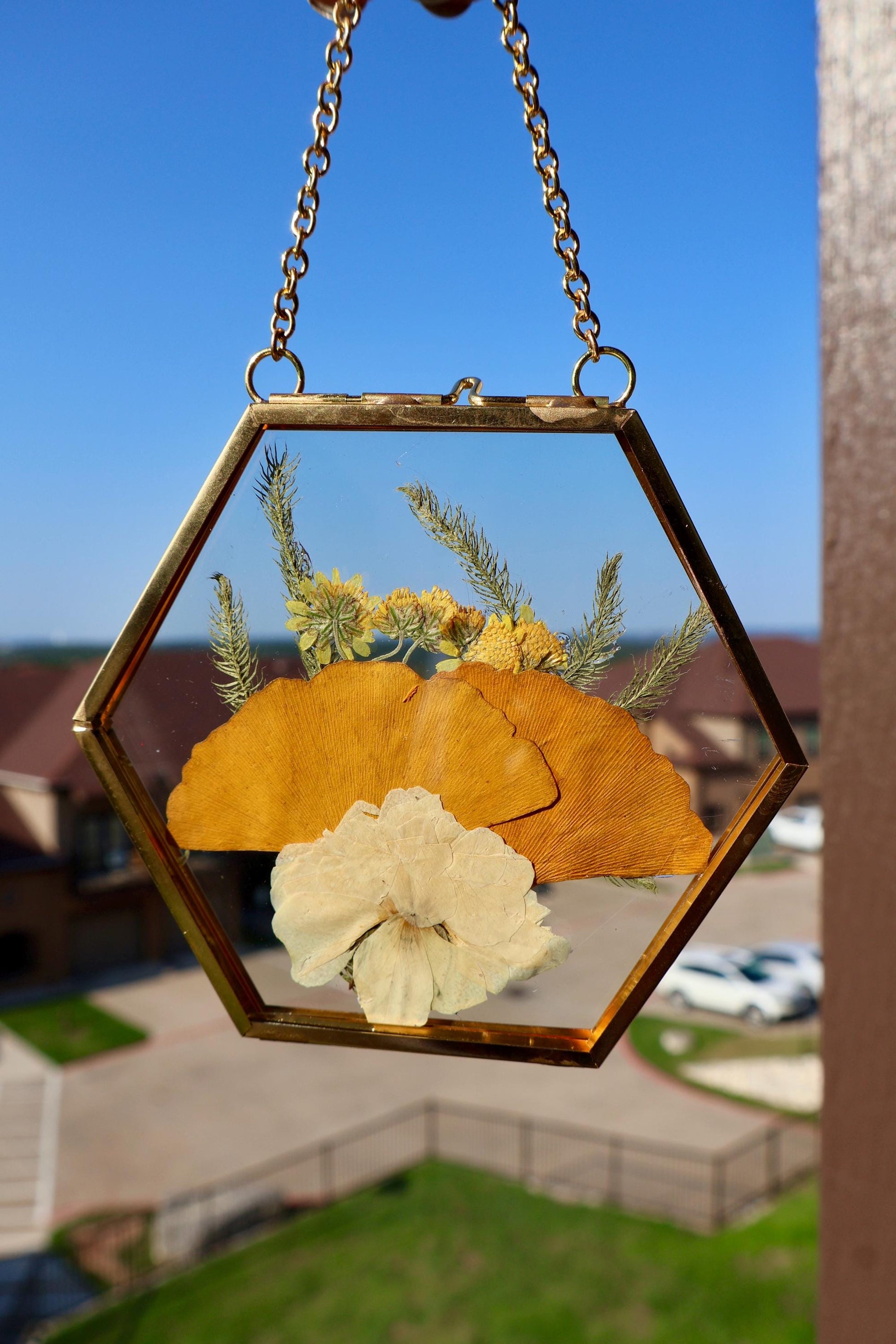 Pressed Flower Frame: Botanical Glass Wall Art, Wildflower Decor, Floral Gifts