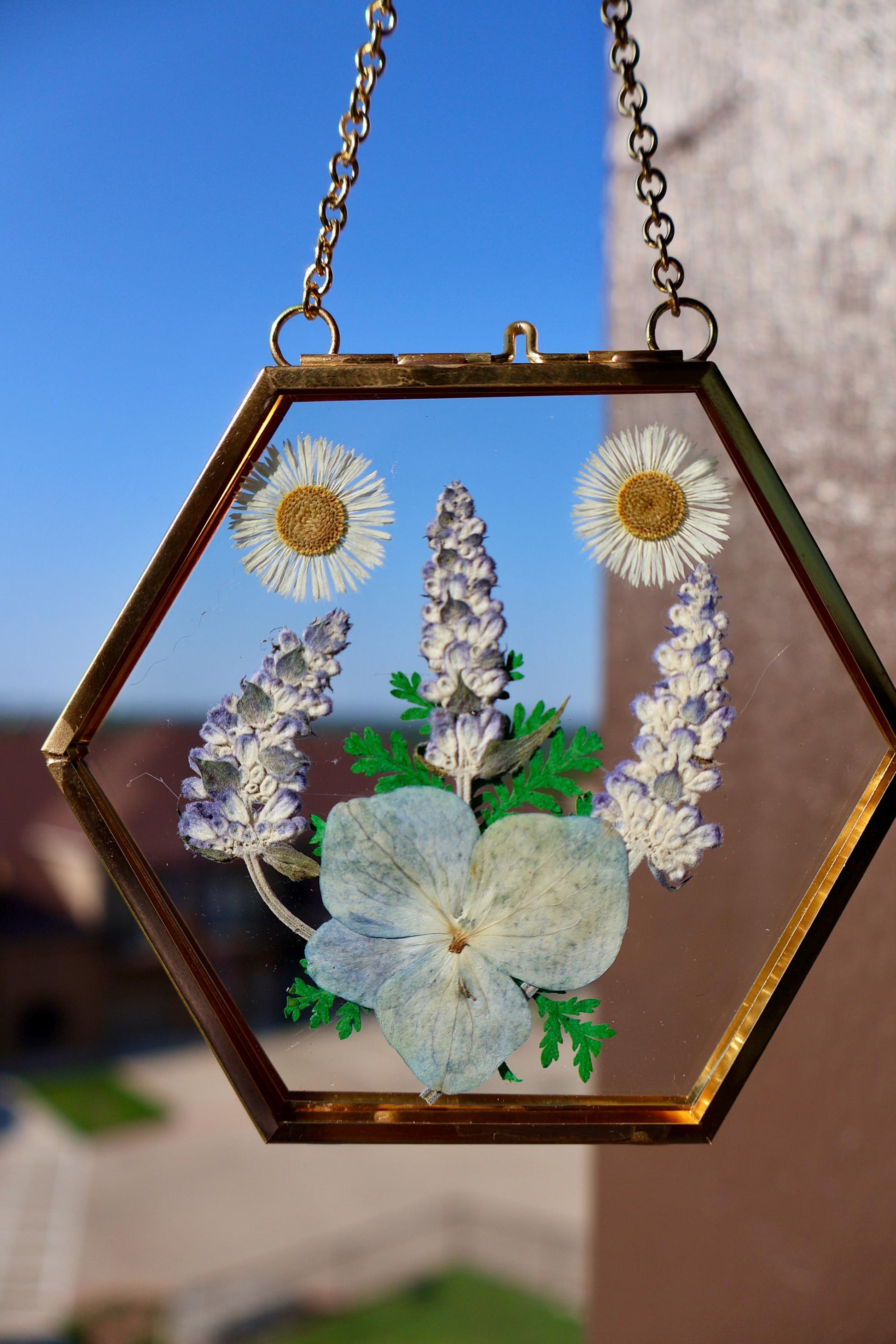 Pressed Flower Frame: Botanical Glass Wall Art, Wildflower Decor, Floral Gifts