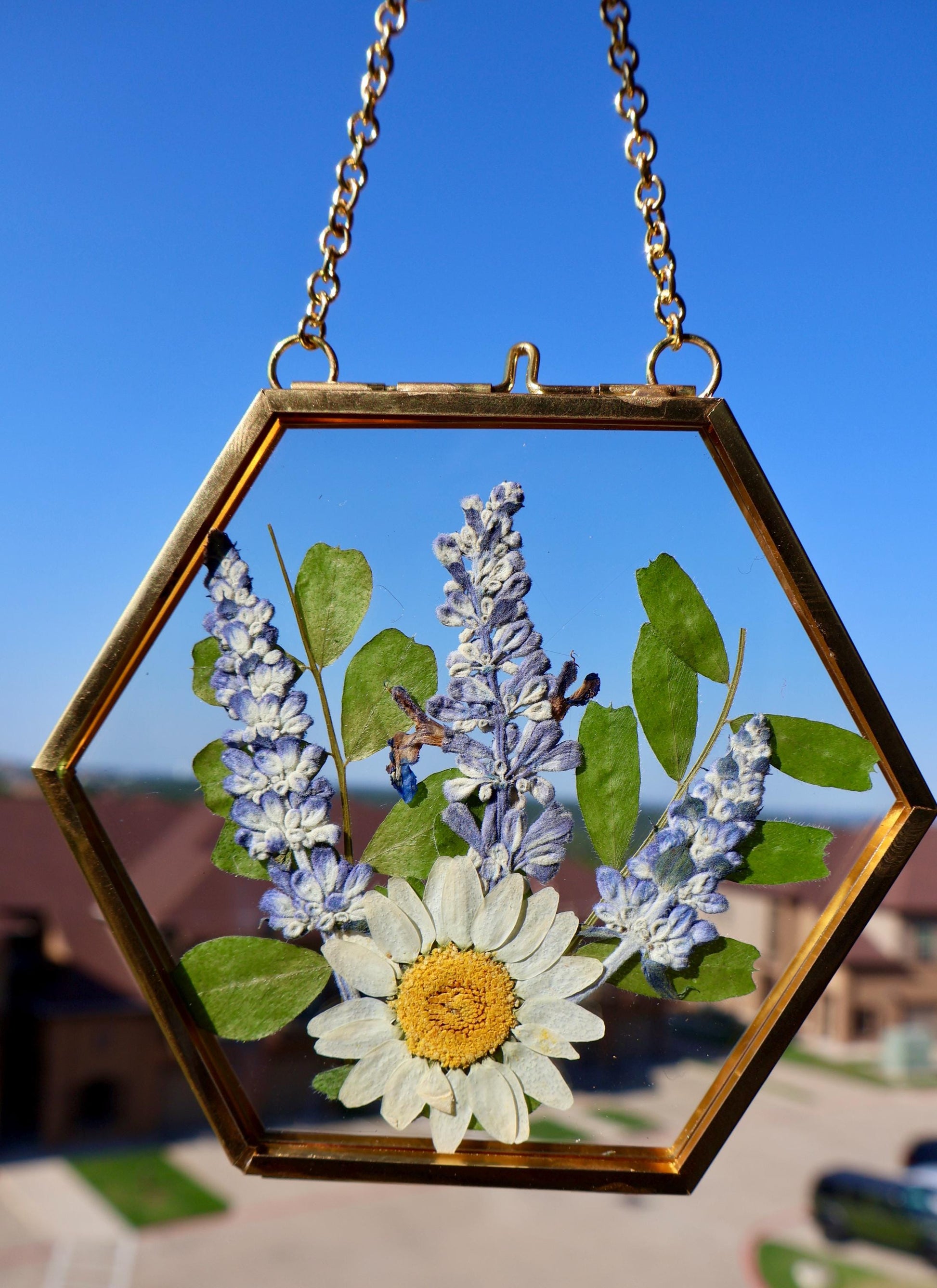 Pressed Flower Frame: Botanical Decor, Floral Gift, Dried Flowers
