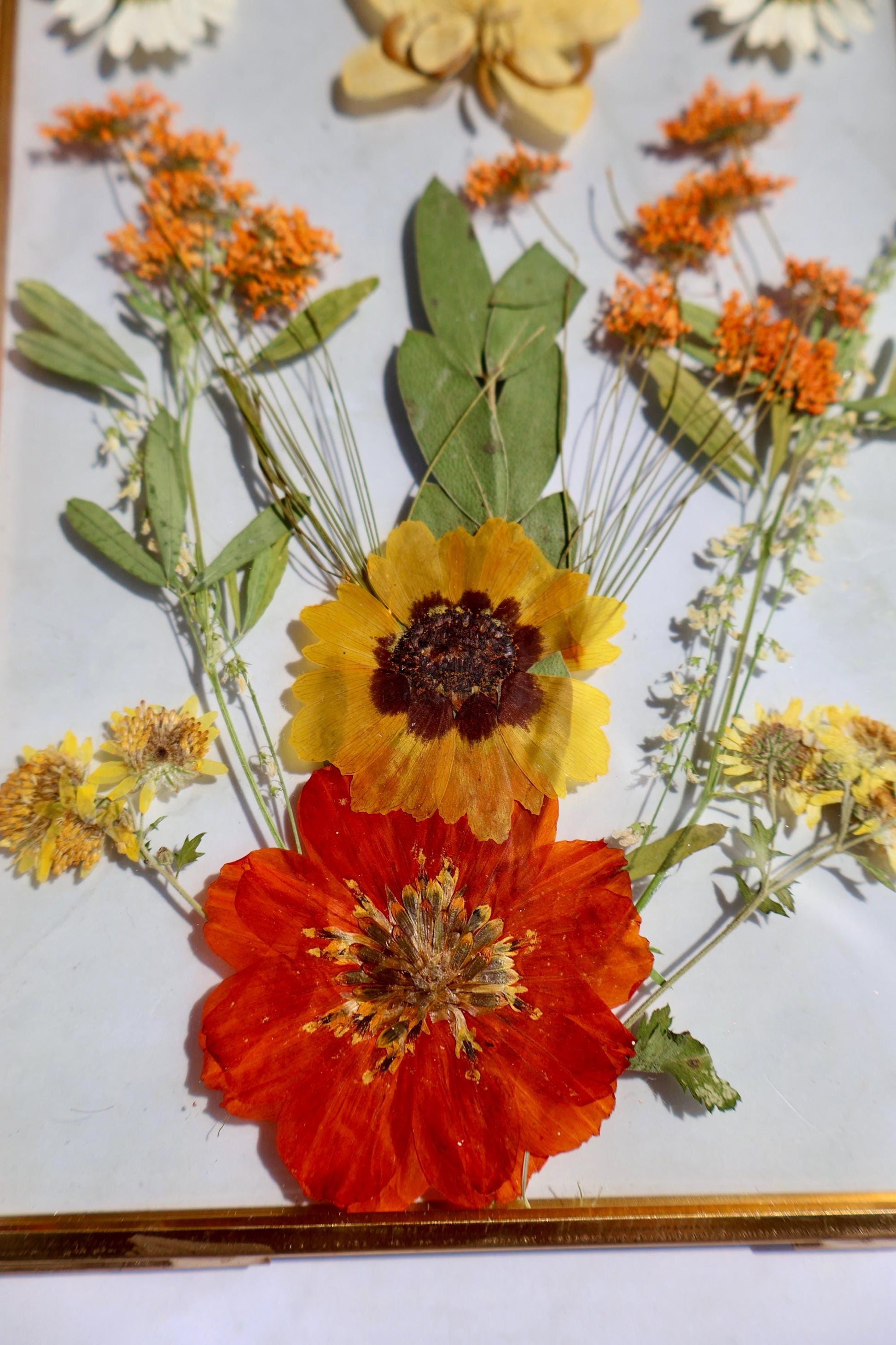 Custom Pressed Flower Polaroid Frame: Botanical Wall Art, Dried Wildflower Decor, Floral Gifts