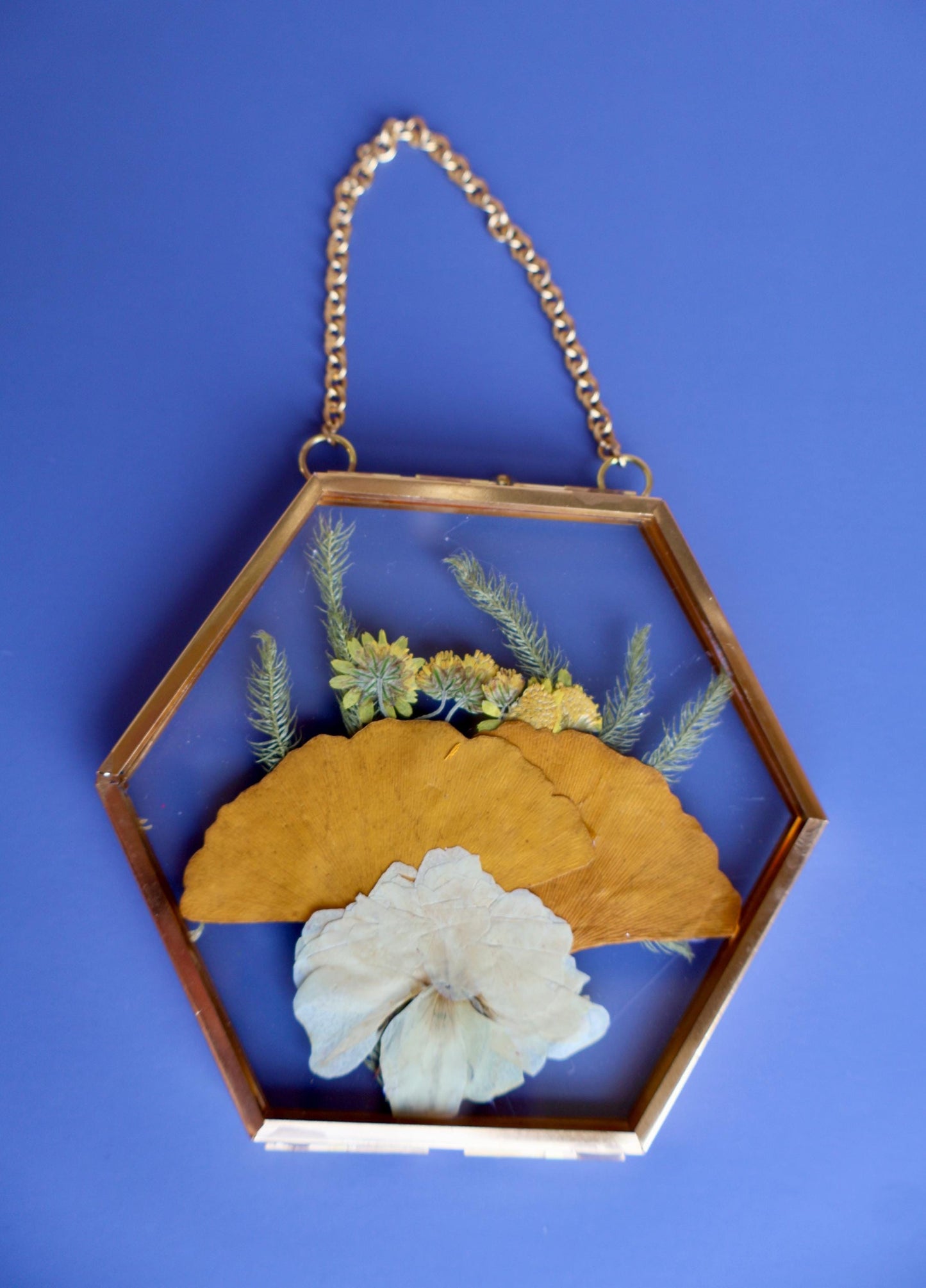 Pressed Flower Frame: Botanical Glass Wall Art, Wildflower Decor, Floral Gifts