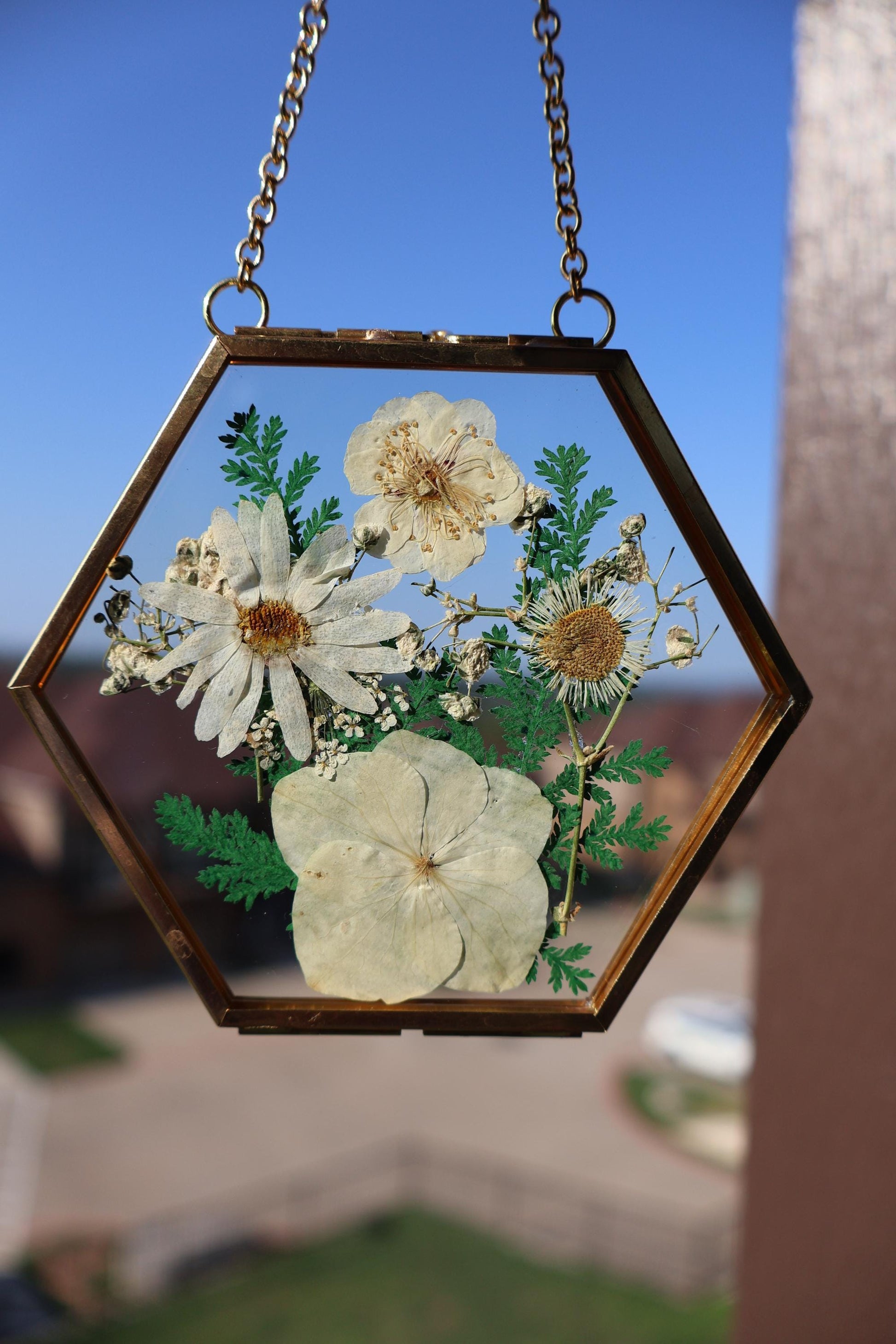 Pressed Flower Frame: Botanical Glass Wall Art, Wildflower Decor, Floral Gifts