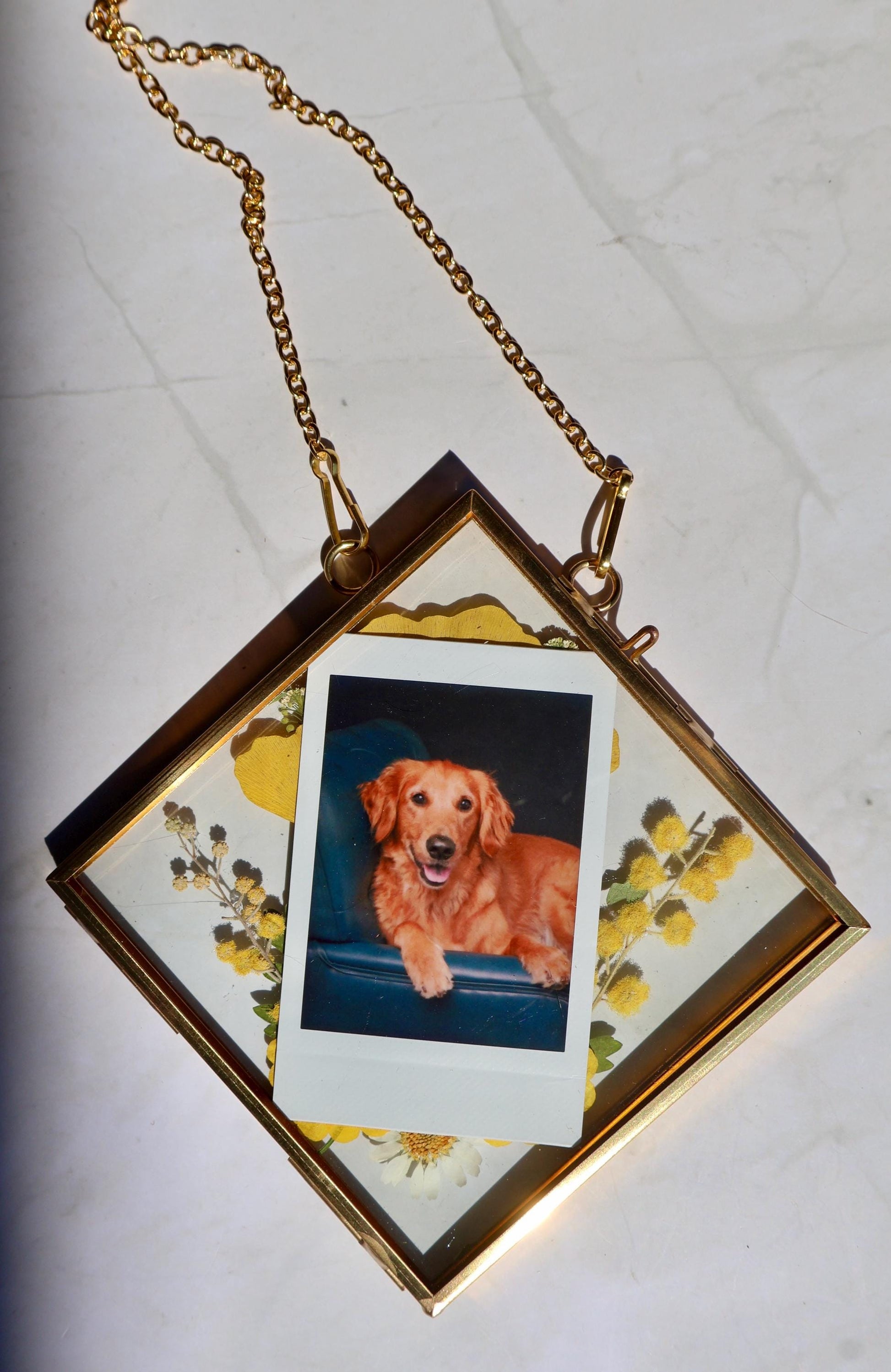 Custom Pressed Wildflower Frame: Botanical Glass Wall Art, Custom Floral Gifts