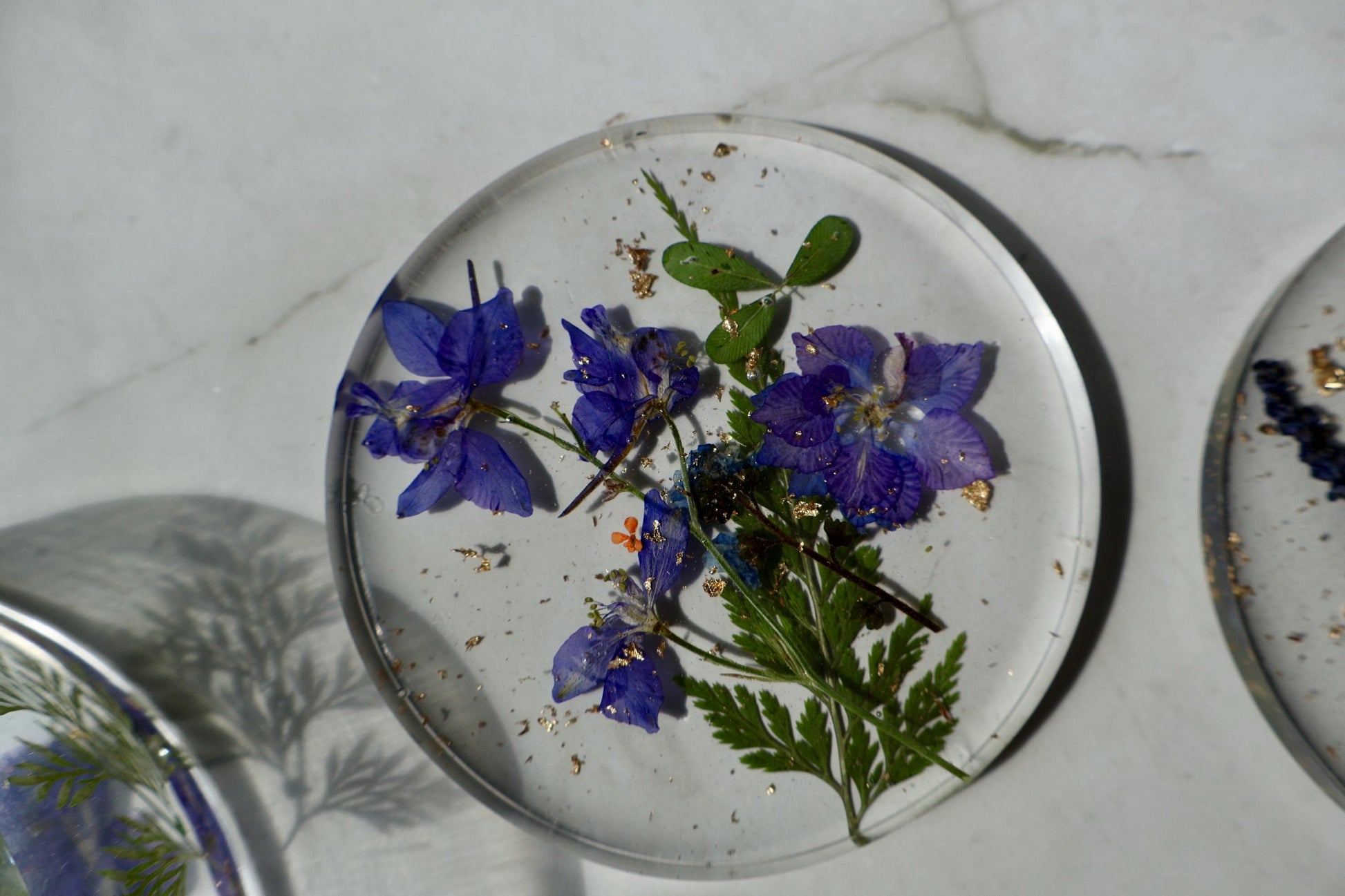 Set of Custom Pressed Flower Coasters: Botanical Flower decor, Wildflower Gift