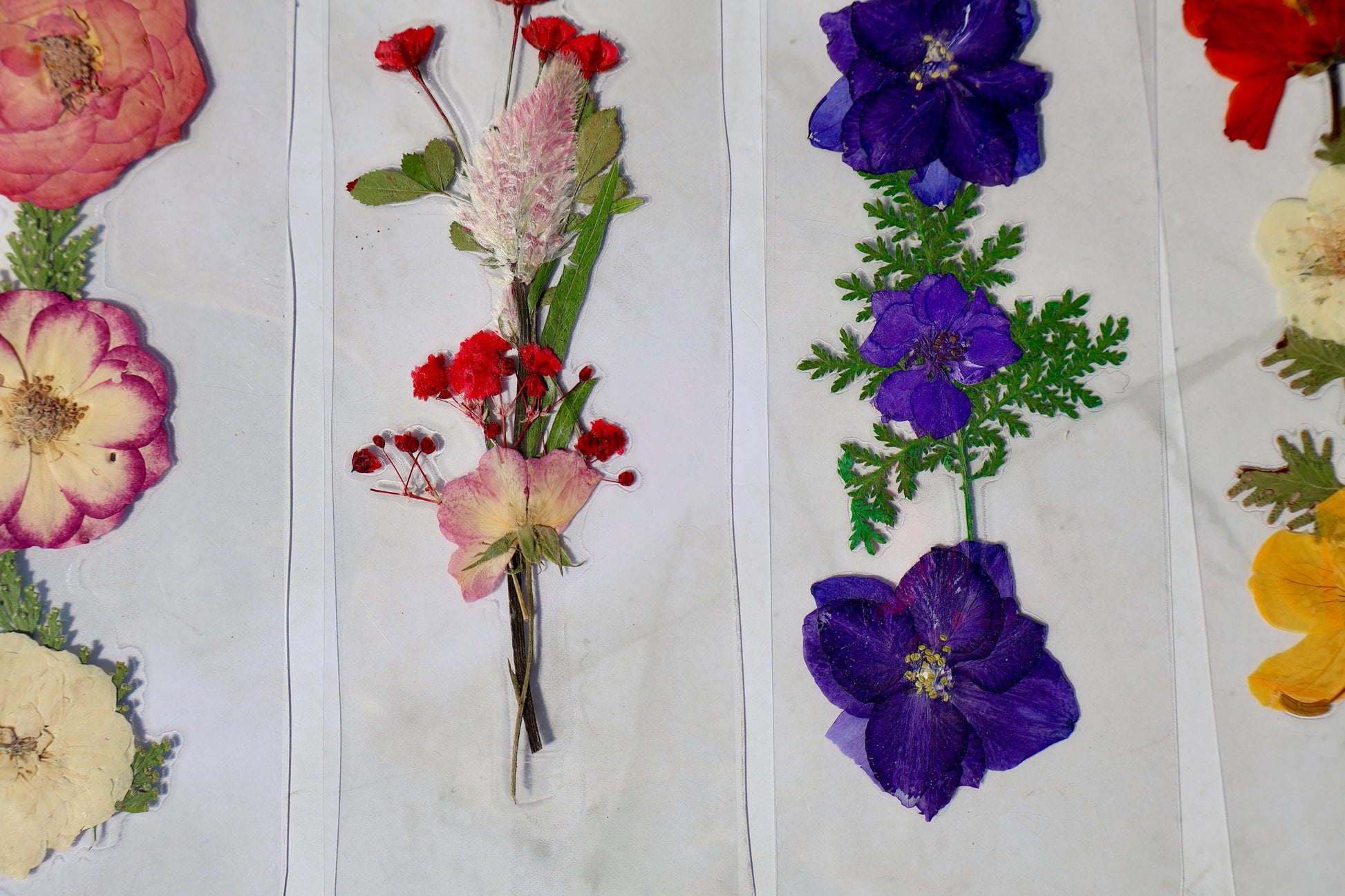 Handmade Pressed Flower Bookmark: Floral Laminated Reading Accessory